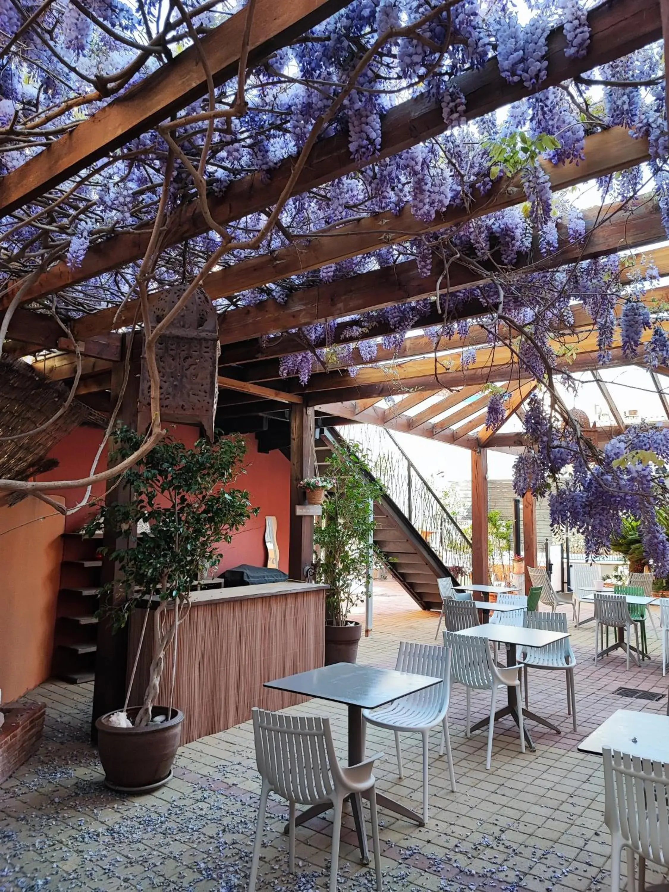 Patio in Logis Hotel De La Clape