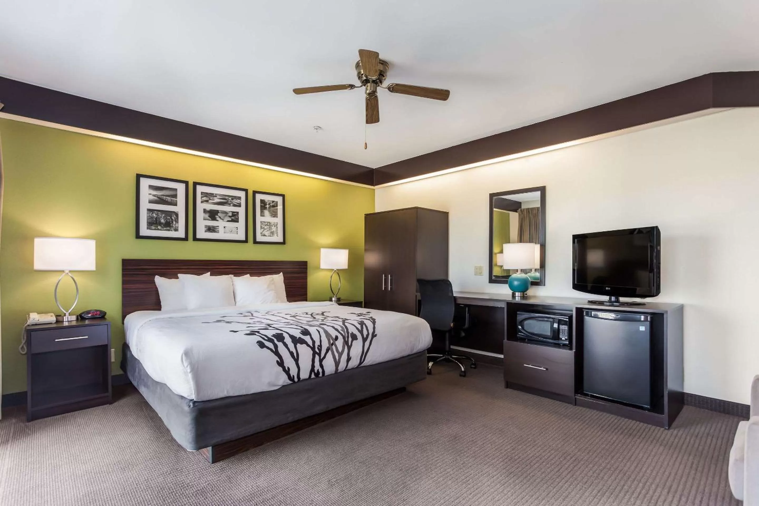 Photo of the whole room, Bed in Sleep Inn Little River - North Myrtle Beach