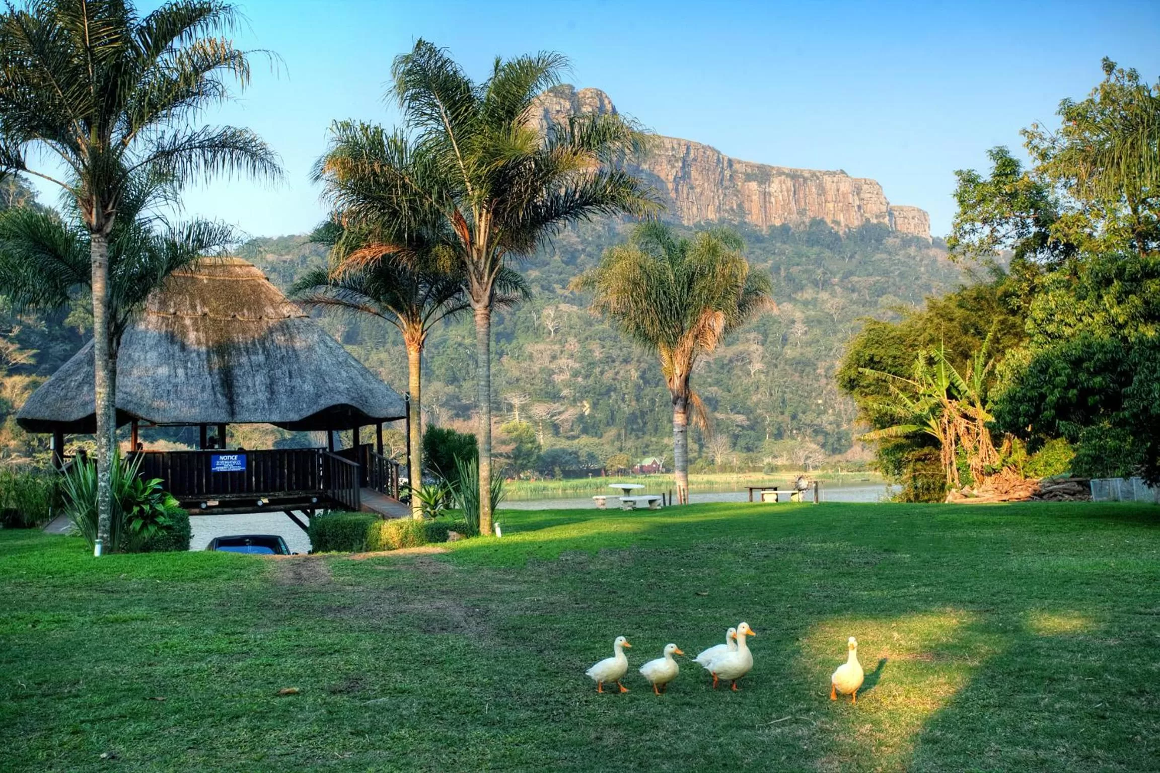 Garden in The Spotted Grunter Resort