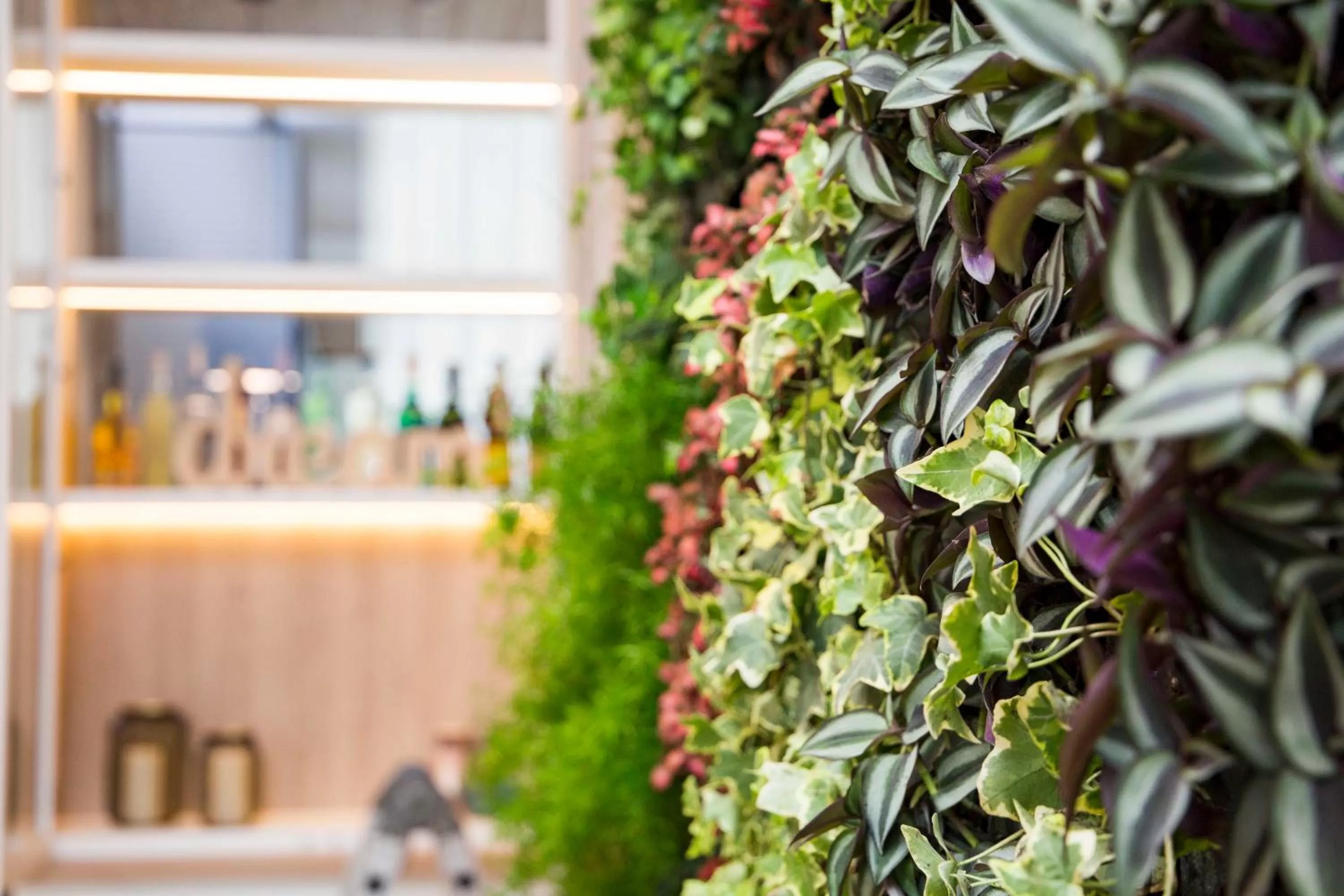 Decorative detail in Golden Hotel Barcelona