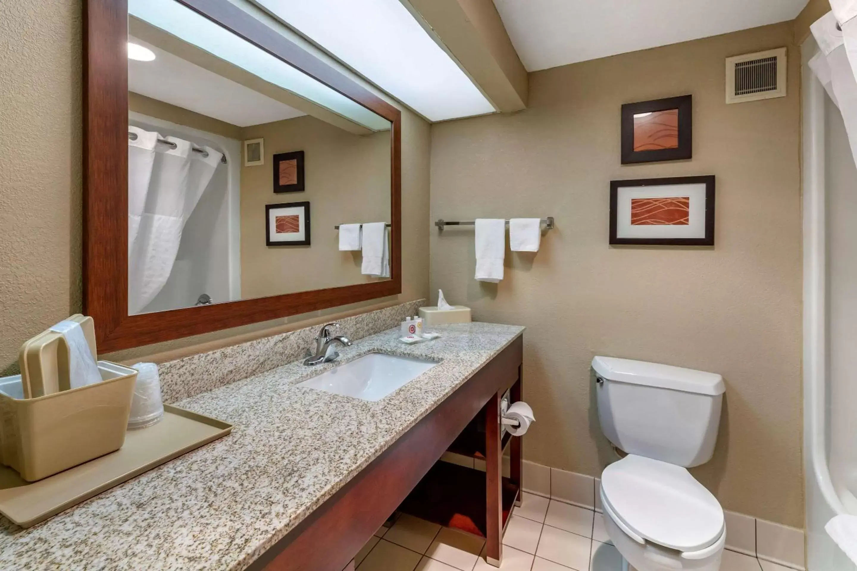 Bathroom in Comfort Inn Alliance