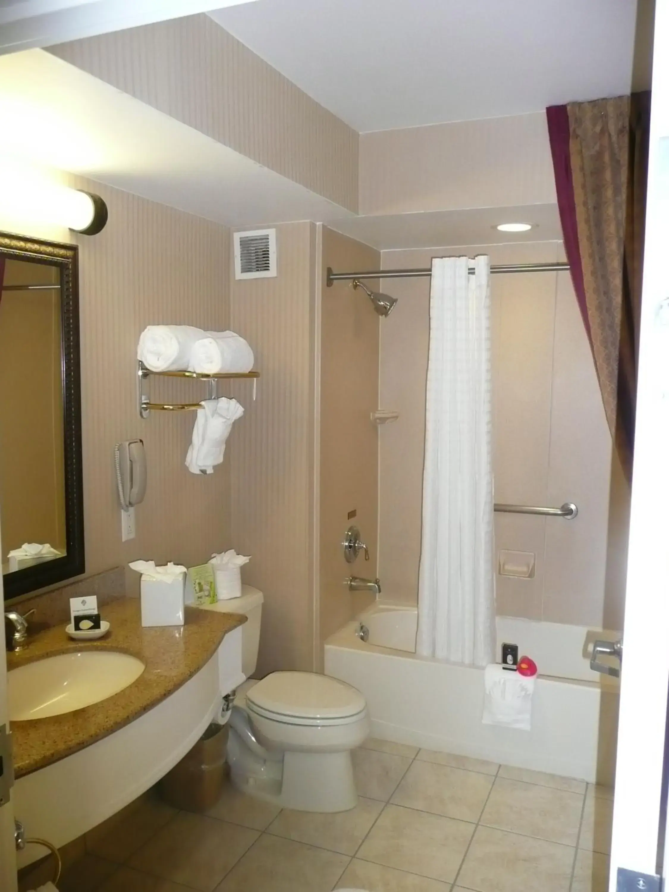 Bathroom in The Wilshire Grand Hotel