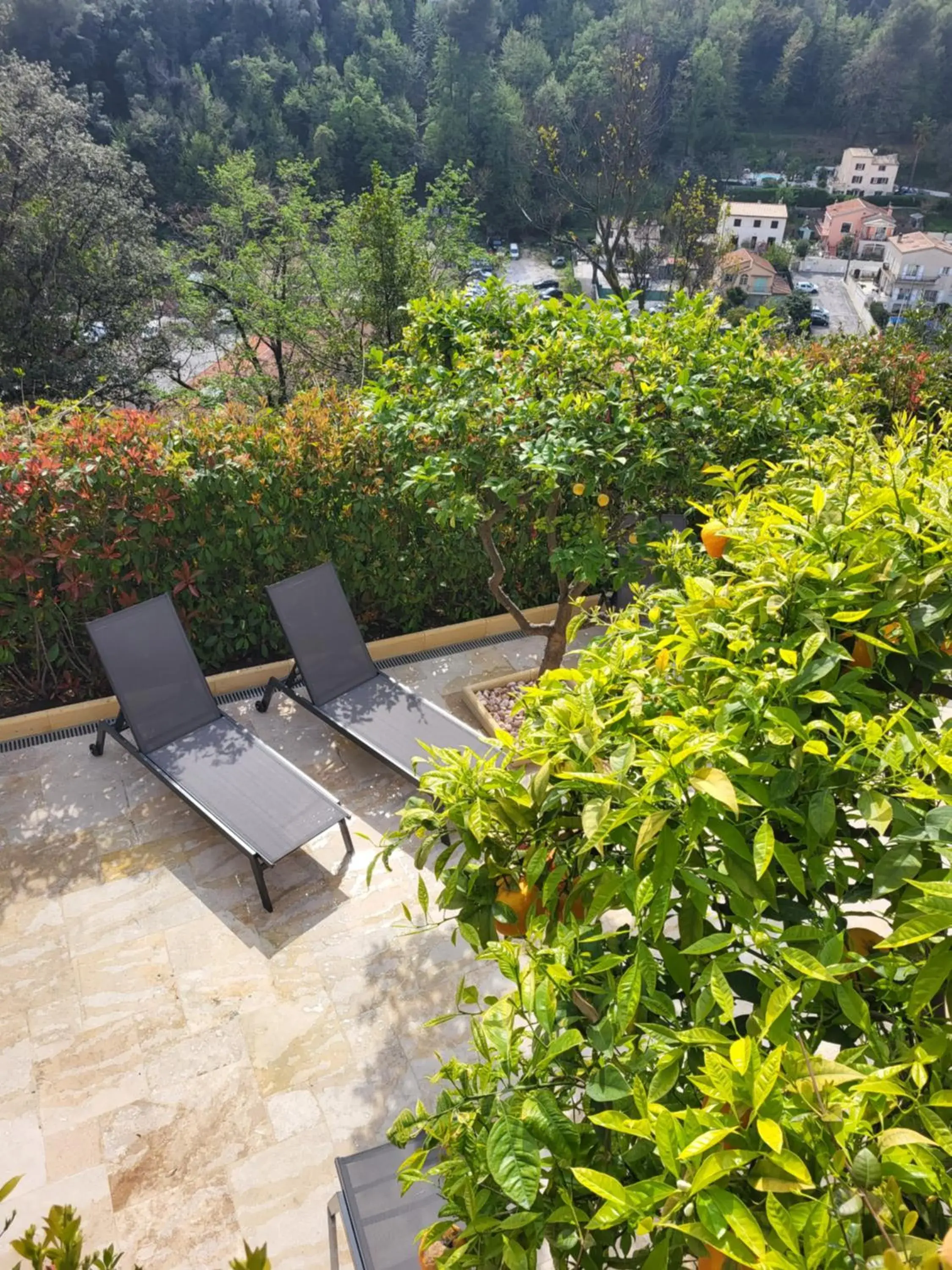 Garden in Château Le Cagnard