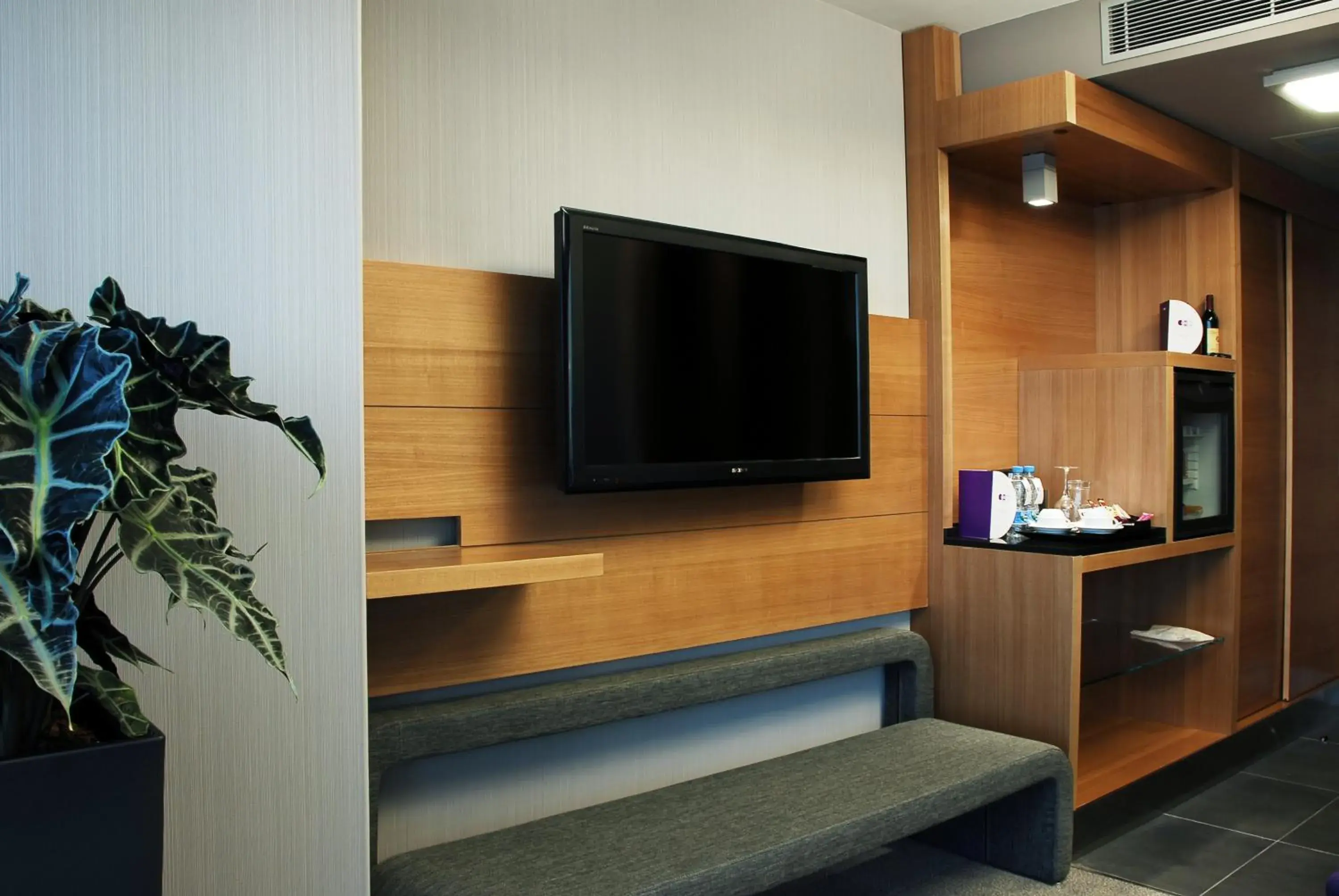 TV and multimedia, TV/Entertainment Center in Point Hotel Barbaros