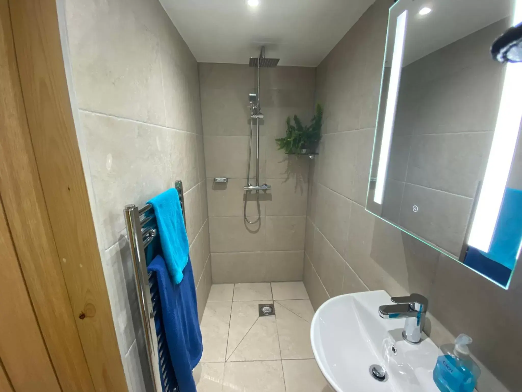 Shower, Bathroom in Agapanthus Bed & Breakfast - Fraddam