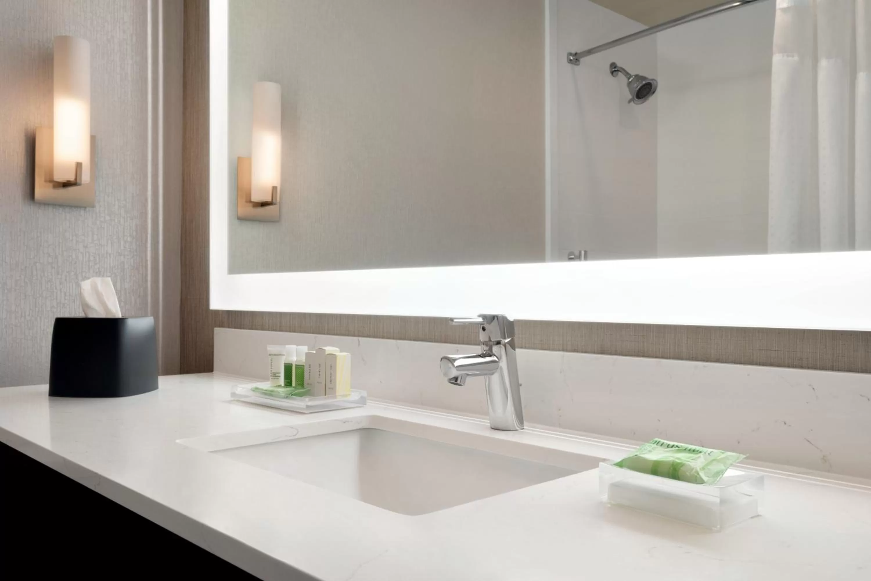 Bathroom in Holiday Inn Hotel & Suites Council Bluffs by IHG