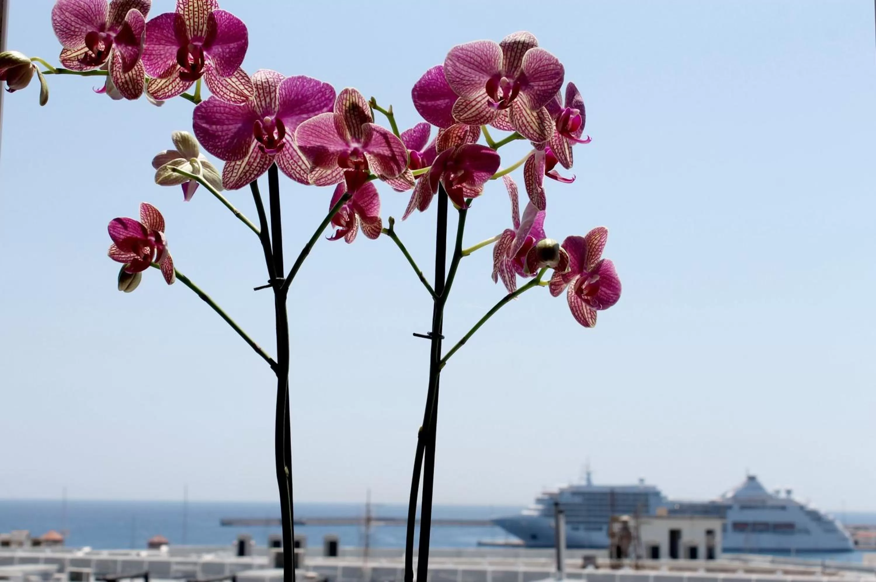Decorative detail in Savoy City Hotel