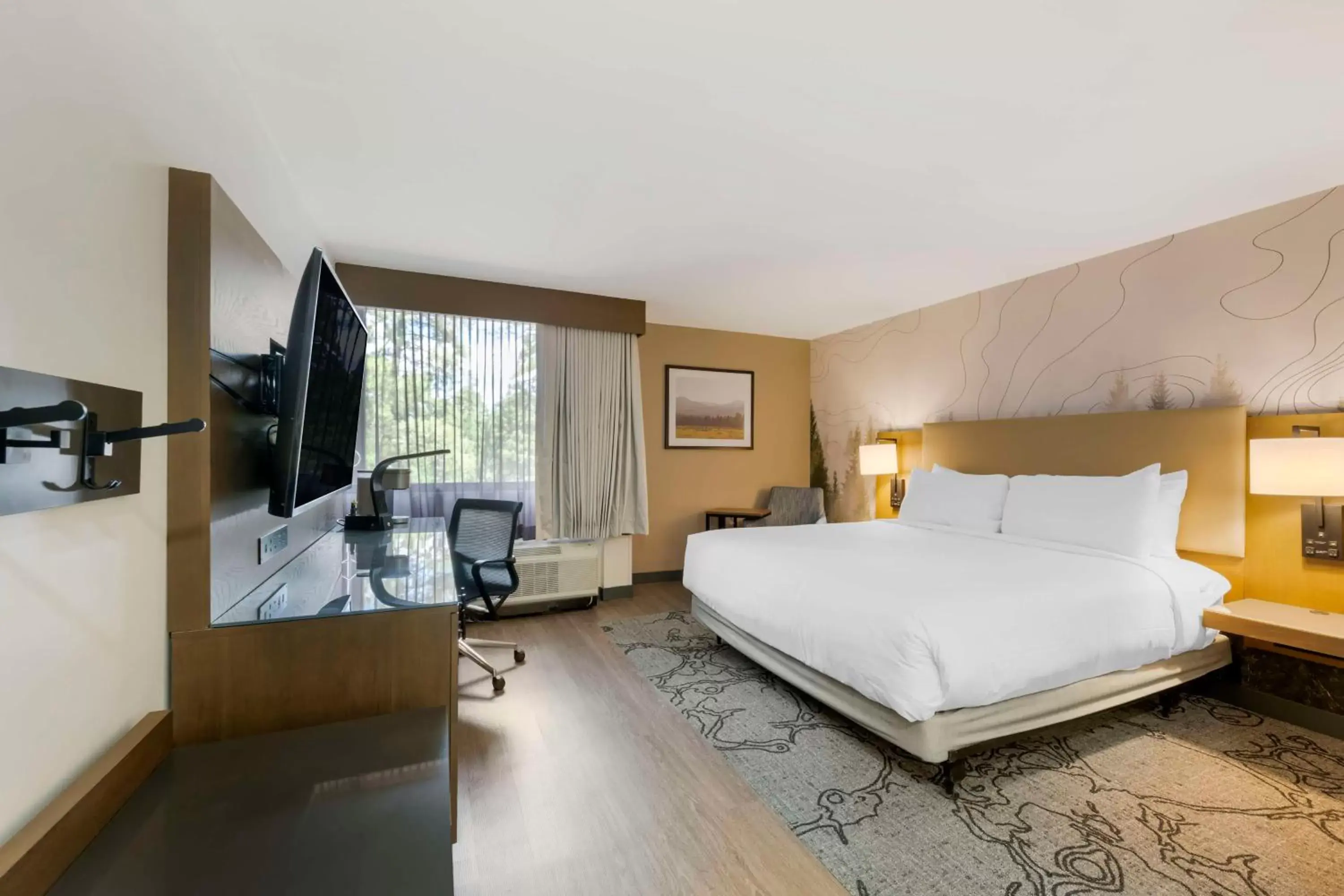 King Room - Communication Accessible in Aiden by Best Western Flagstaff King Room - Communication Accessible in Aiden by Best Western Flagstaff