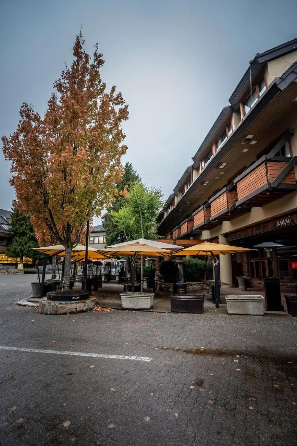 Property Building in Blackcomb Lodge