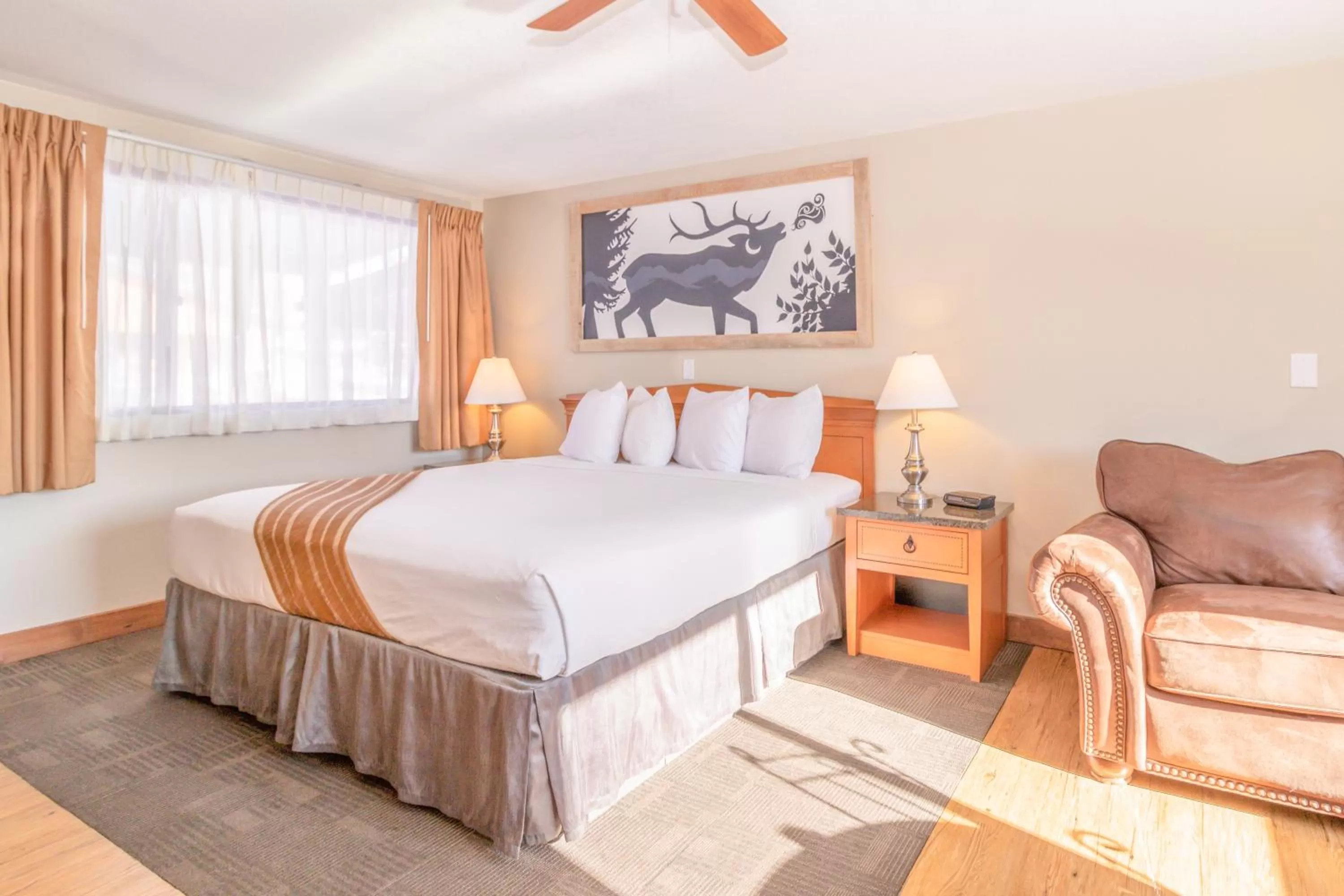 King Standard 09 in Murphy's Resort