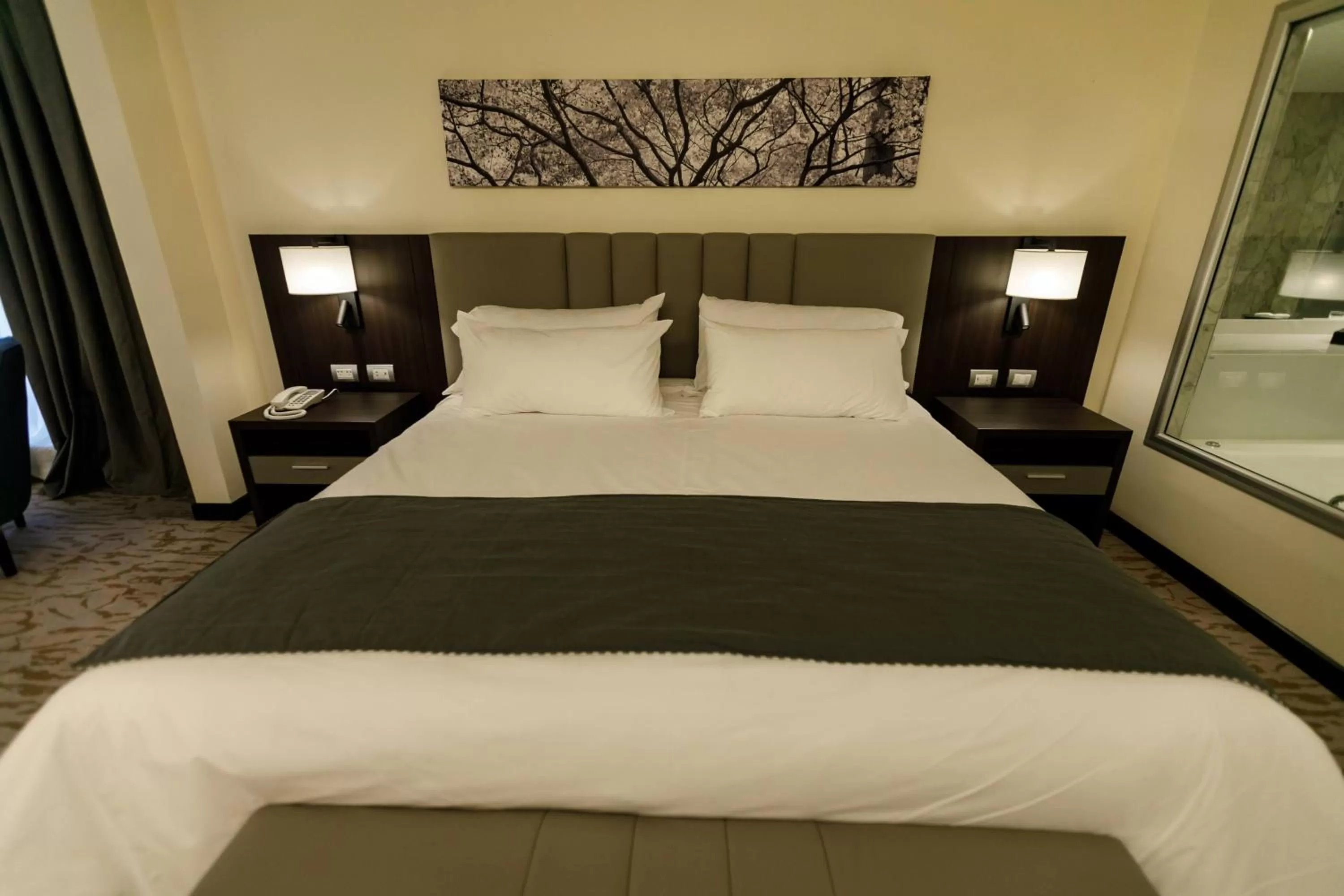 Bed in Hilton Garden Inn Santiago Del Estero - HILTON HOTELS