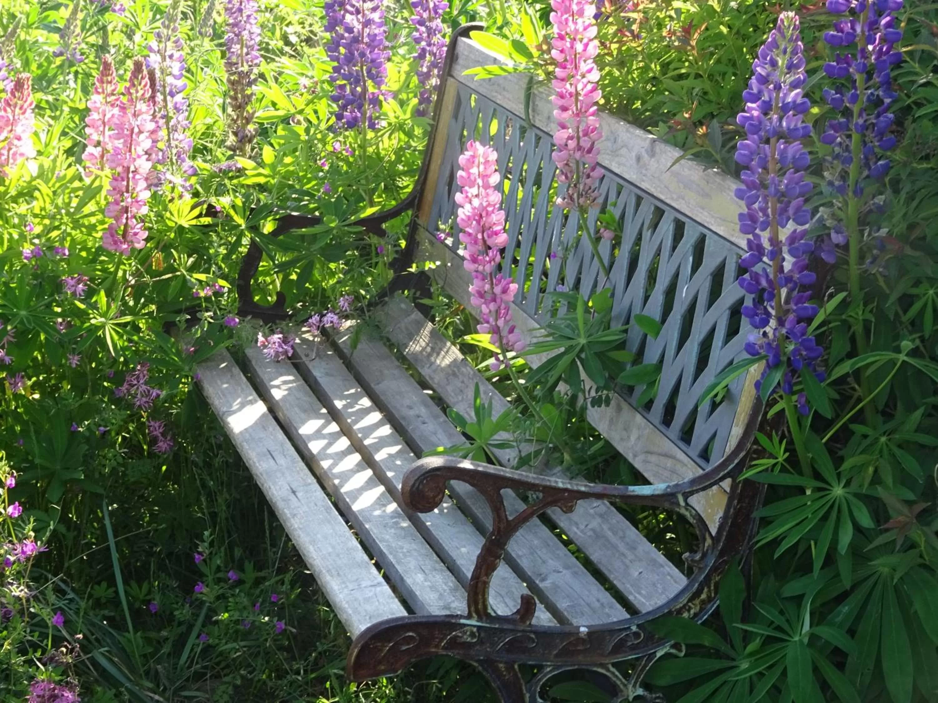 Garden in Wreecher Hof
