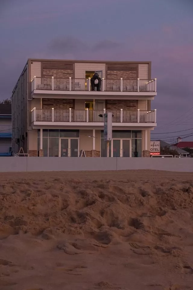 Bird's eye view in Safari Hotel Boardwalk