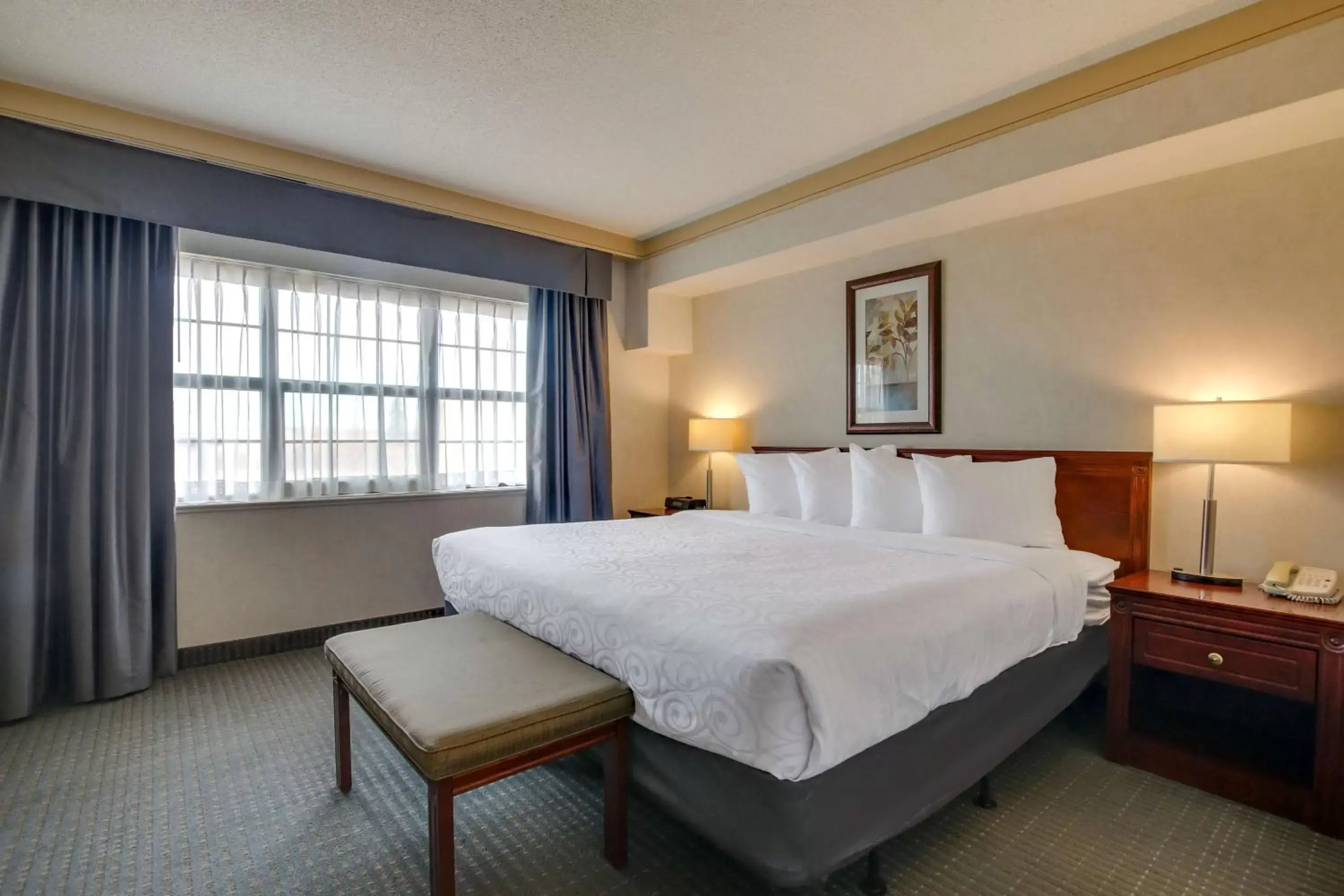 Bedroom, Bed in Best Western Brantford Hotel and Conference Centre