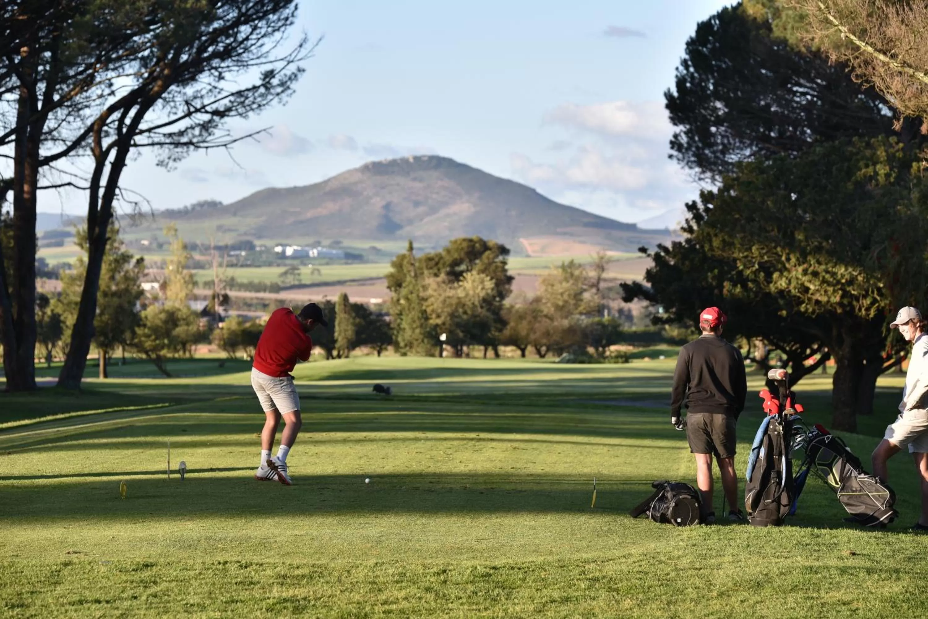 Day in Devonvale Golf & Wine Estate