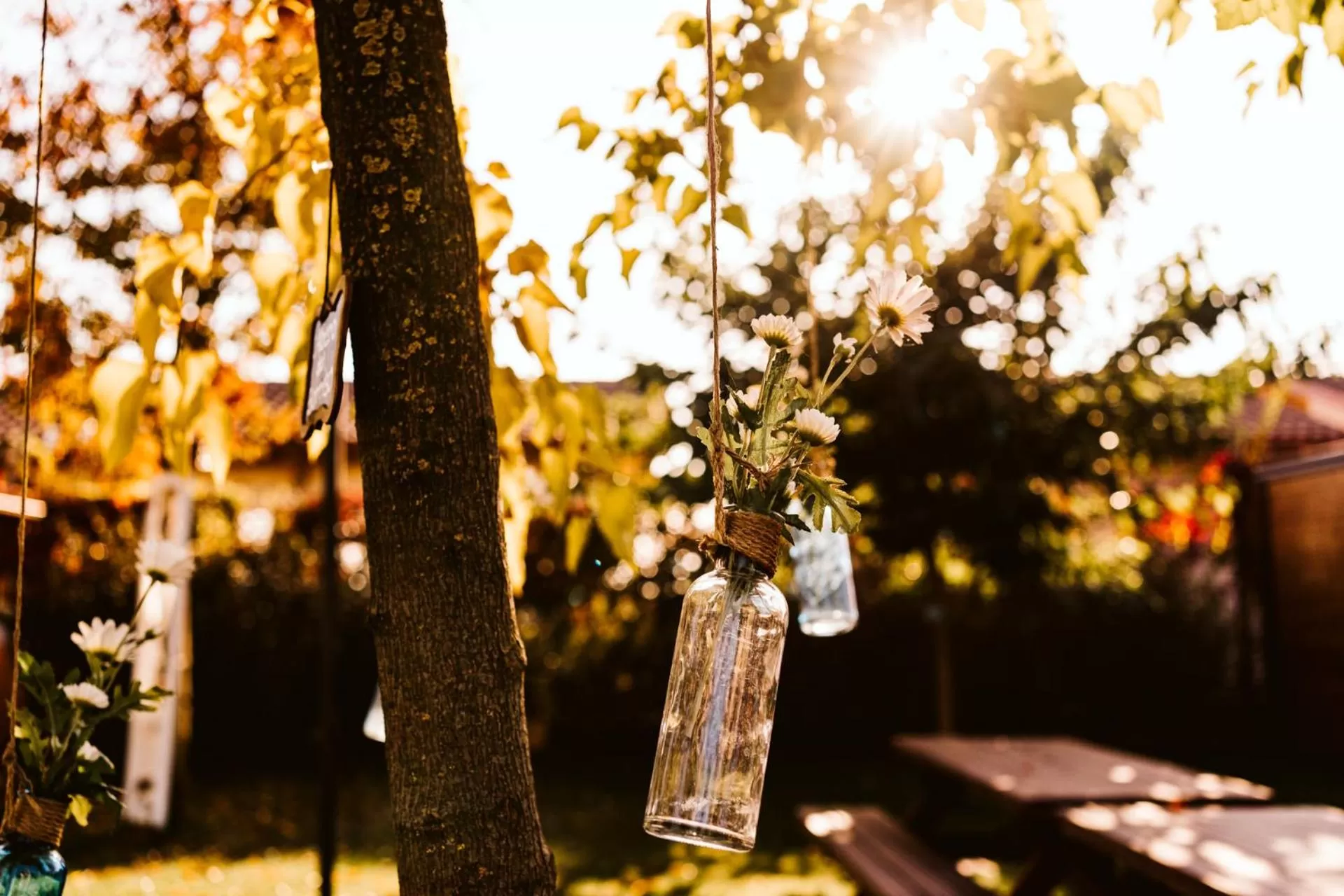 Garden in La Tenuta di Santo Stefano Agri Resort & Spa