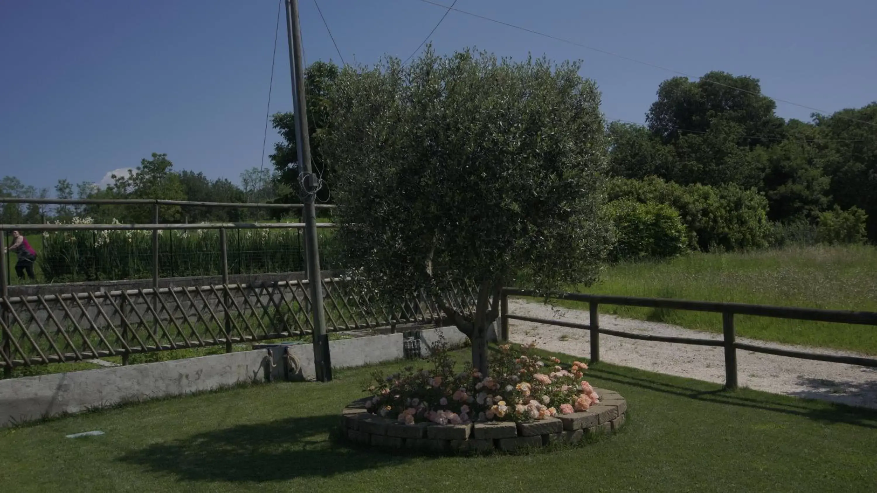 Garden in B&B CORTE SANT'ANGELO