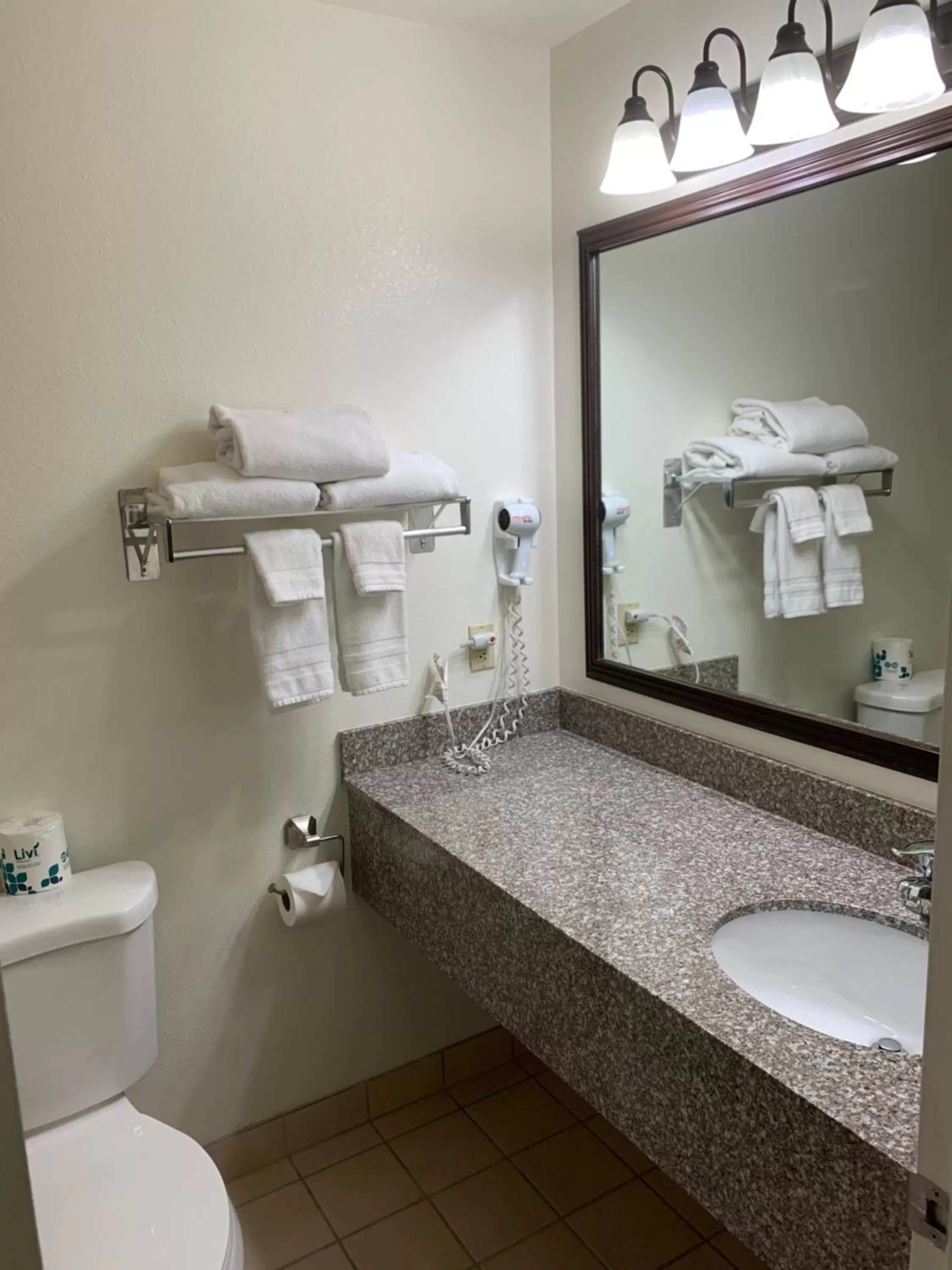 Bathroom in Days Inn by Wyndham Lake Point