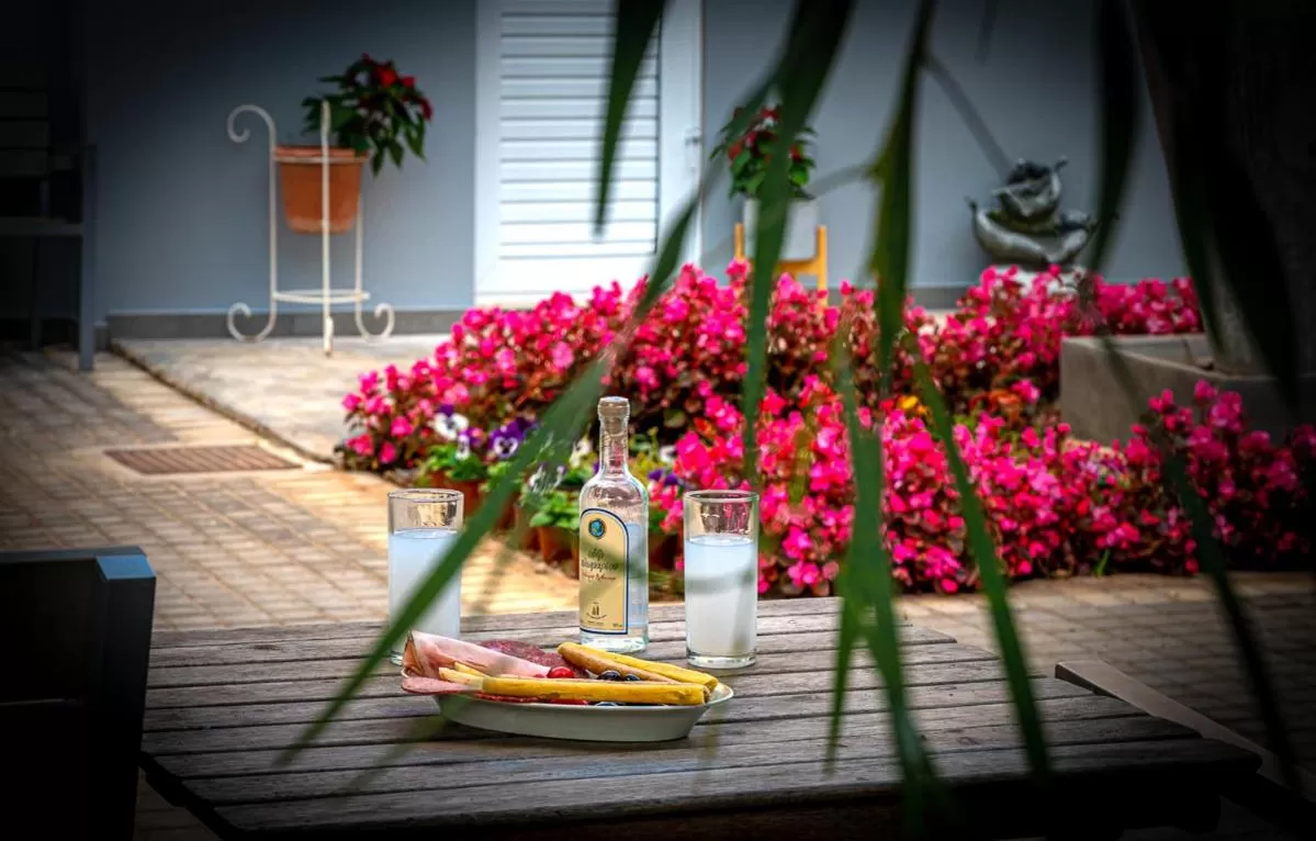 Comfort Stay Athens Airport Hotel - FREE shuttle from and to the airport