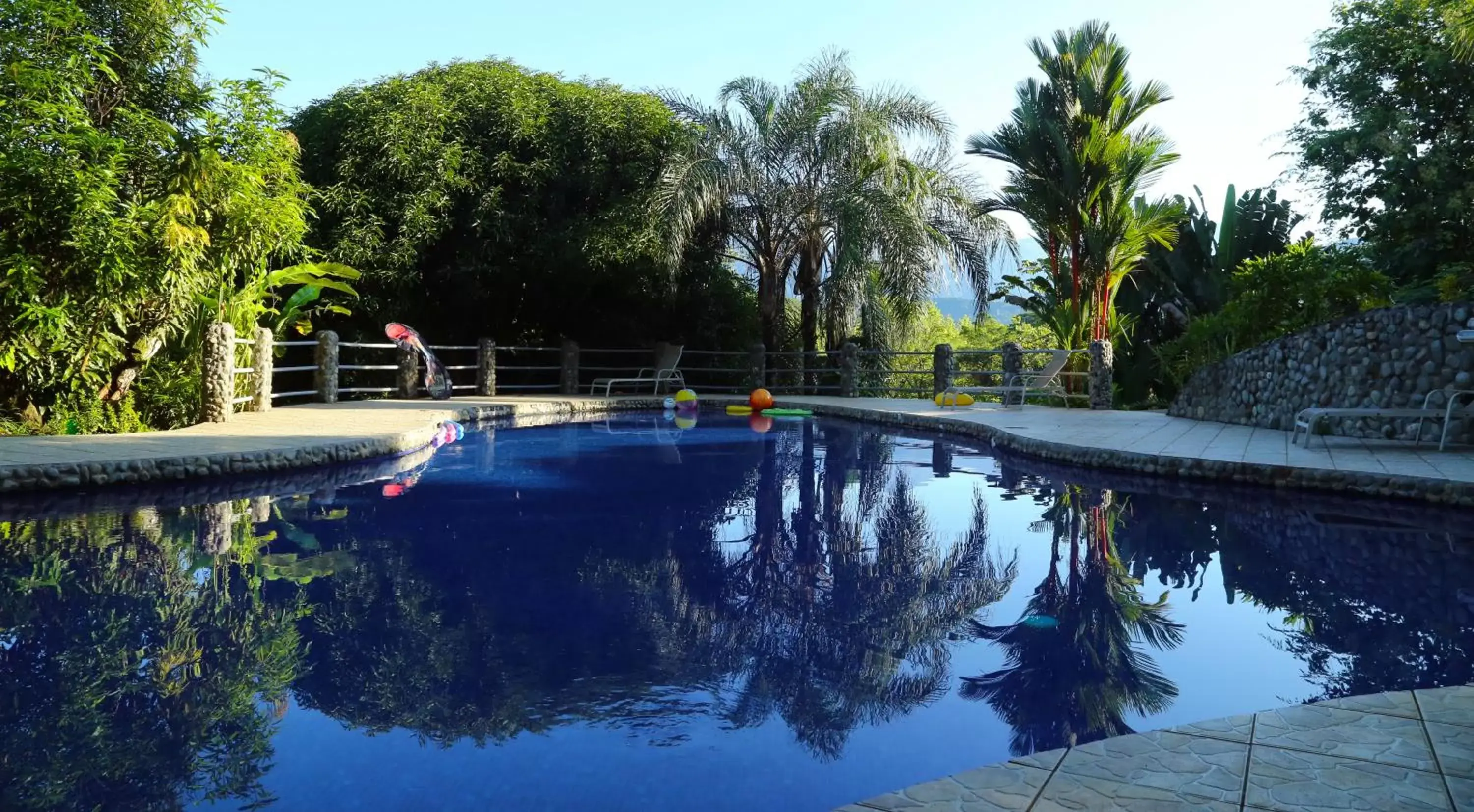 Day, Swimming Pool in Blue Banyan Inn