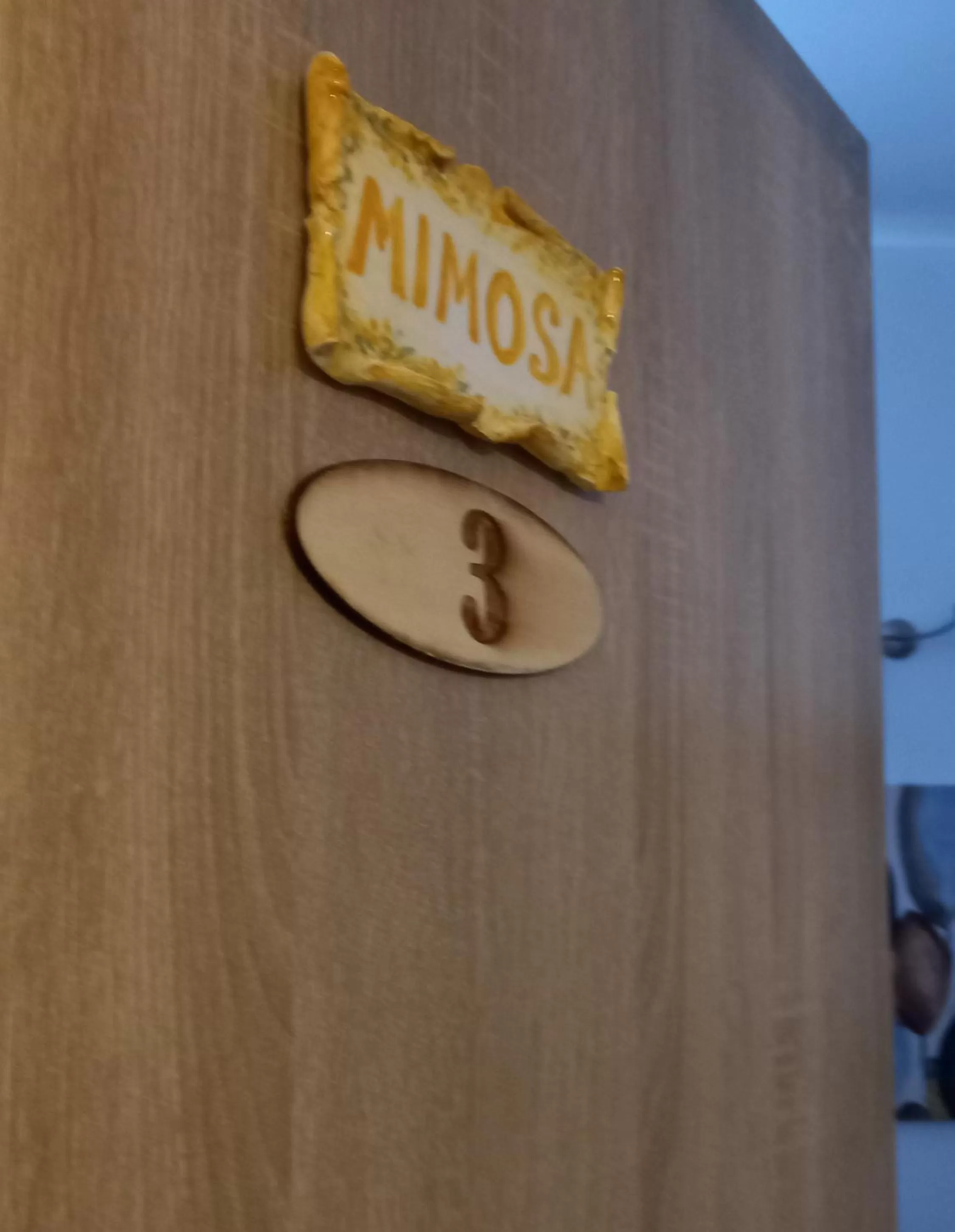 La corte di Angelica