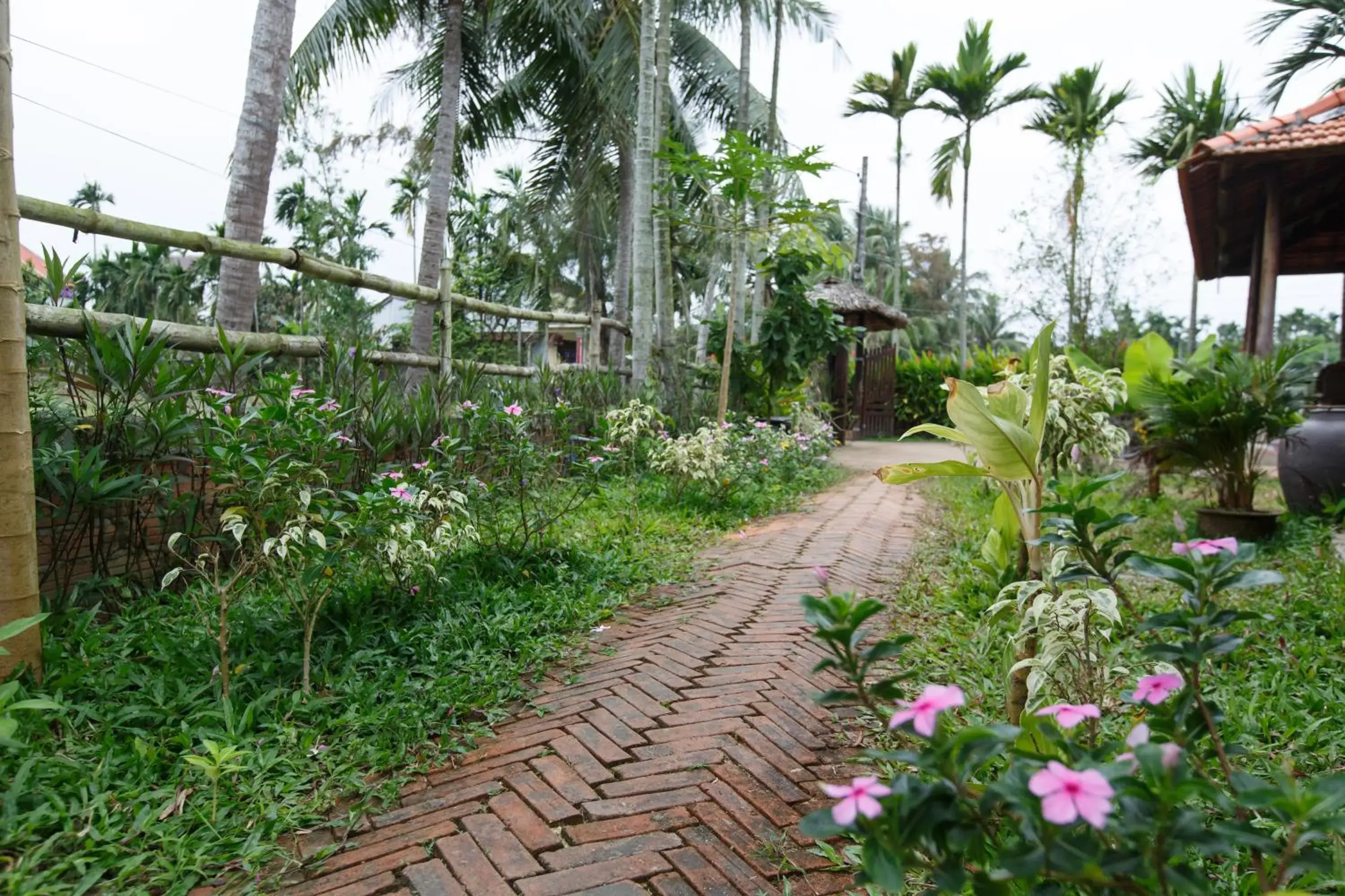 Spring, Garden in Lama Villa Hoi An