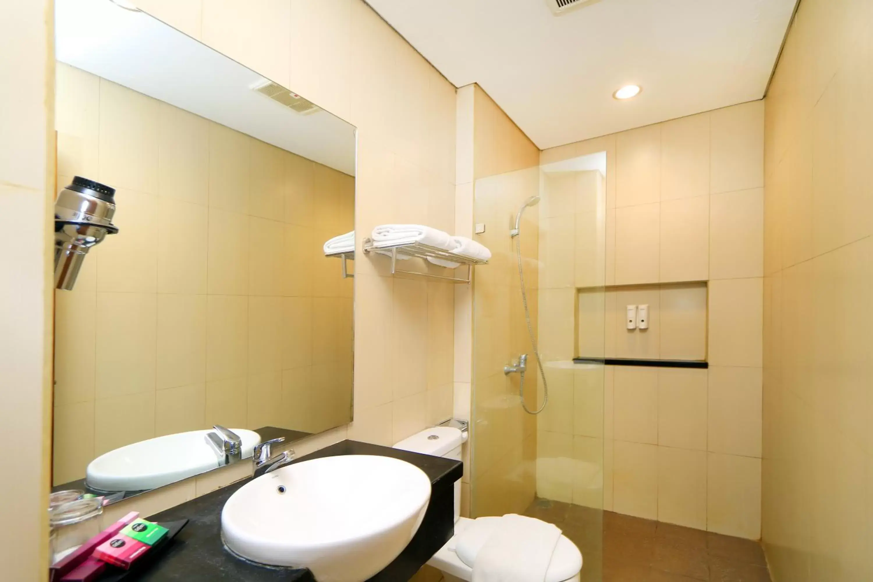 Toilet, Bathroom in Hotel Dafam Rio