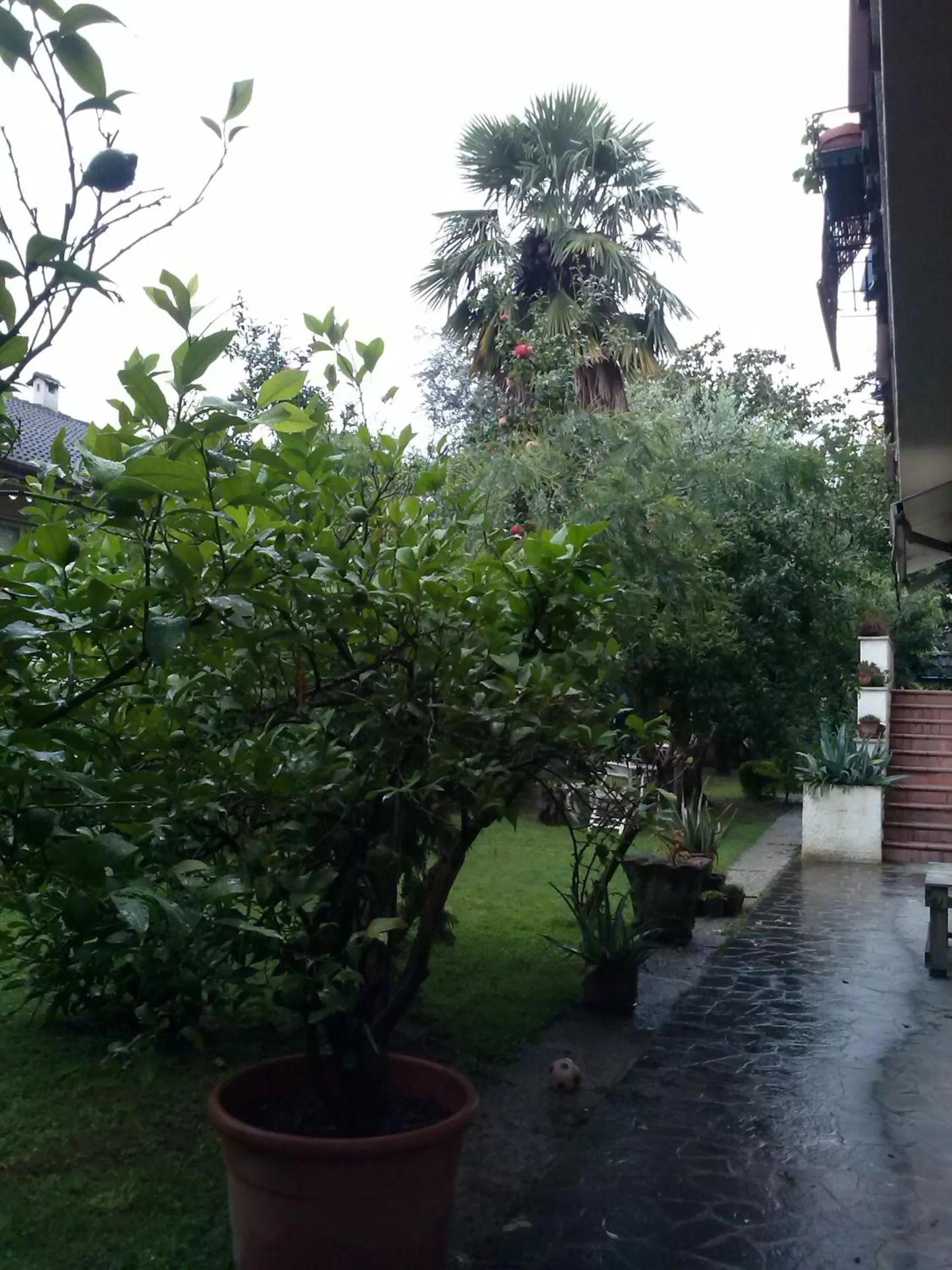 Garden in Casa Irene