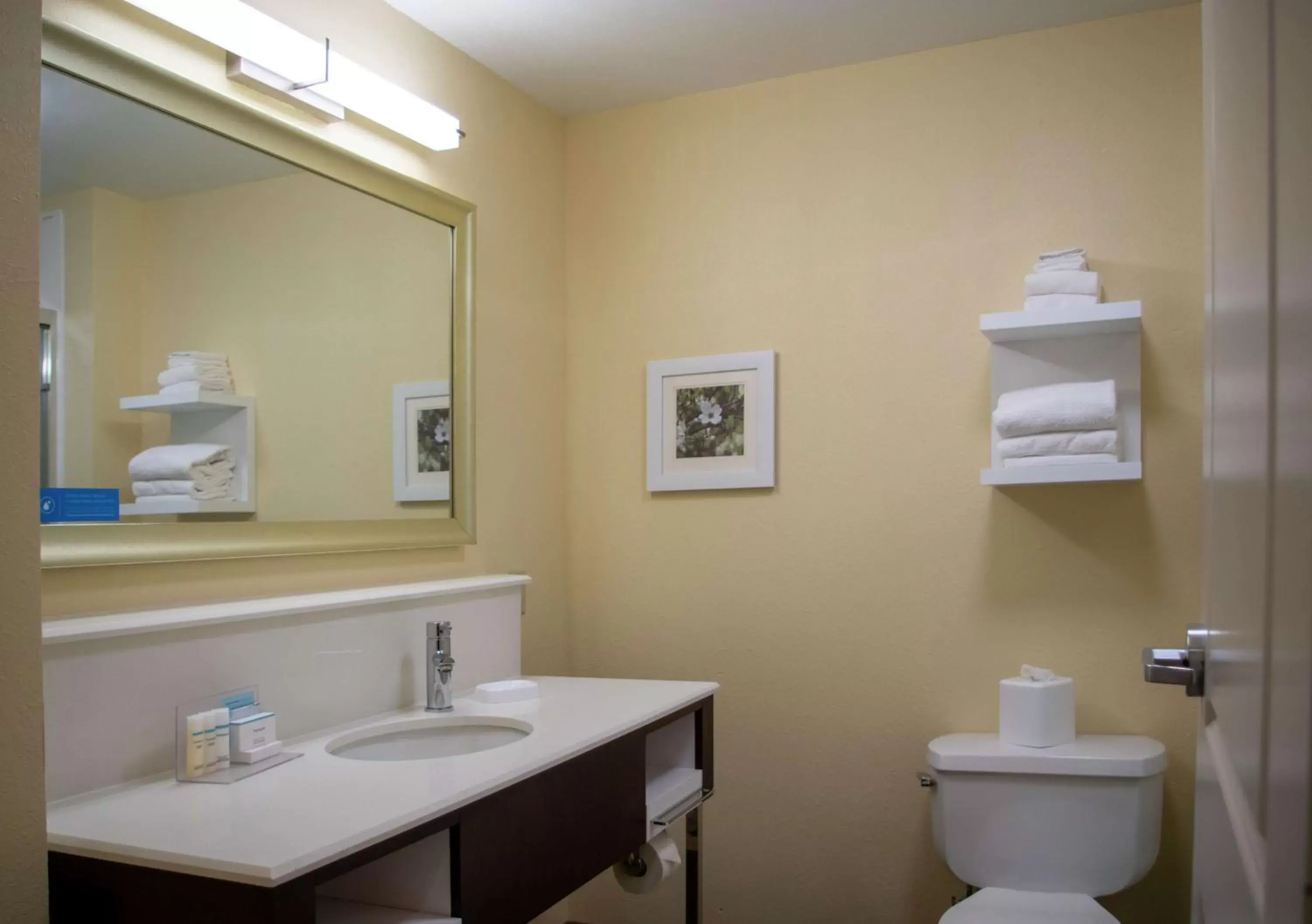 Bathroom in Hampton Inn St. Louis-Chesterfield