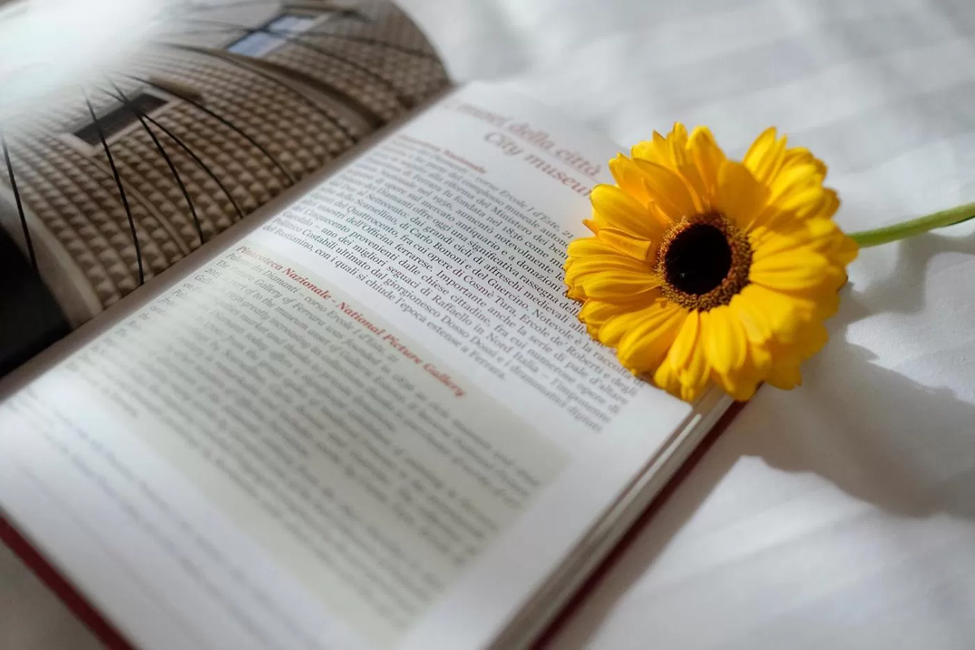 Other, Bed in Hotel Orologio