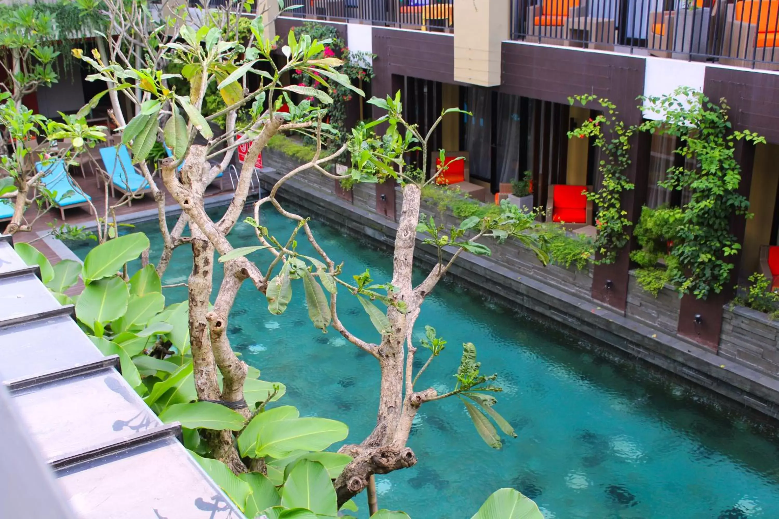 Swimming pool, Pool View in 100 Sunset Kuta Hotel & Ballroom