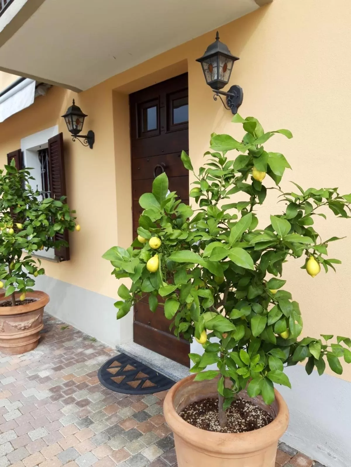 Patio in Villa Vigneto