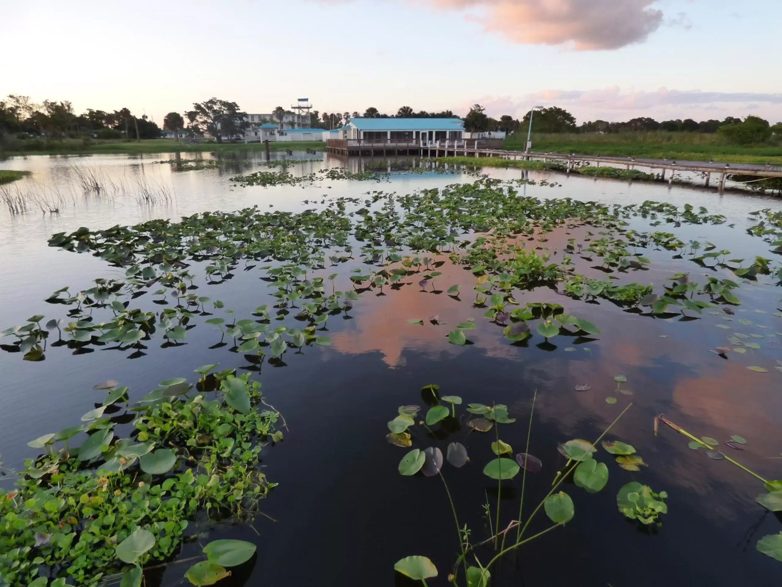 View (from property/room), Sunrise/Sunset in Days Inn & Suites by Wyndham Lake Okeechobee