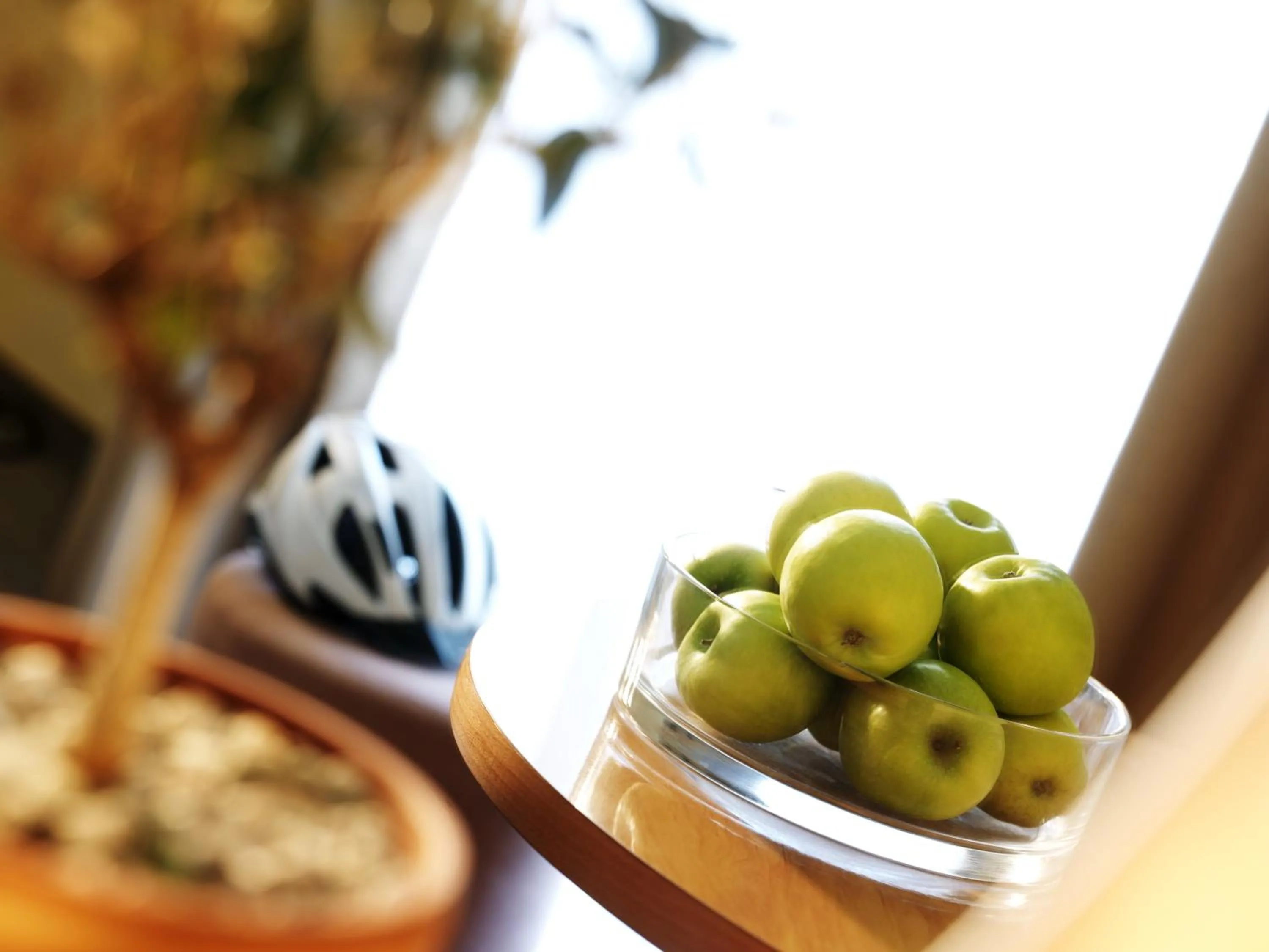 Decorative detail in Hotel Neptun - Terme & Wellness Lifeclass