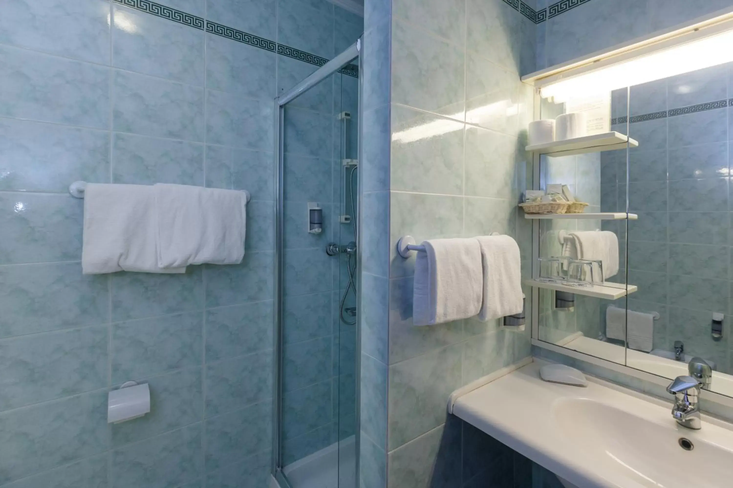 Shower, Bathroom in Hotel Terme Millepini