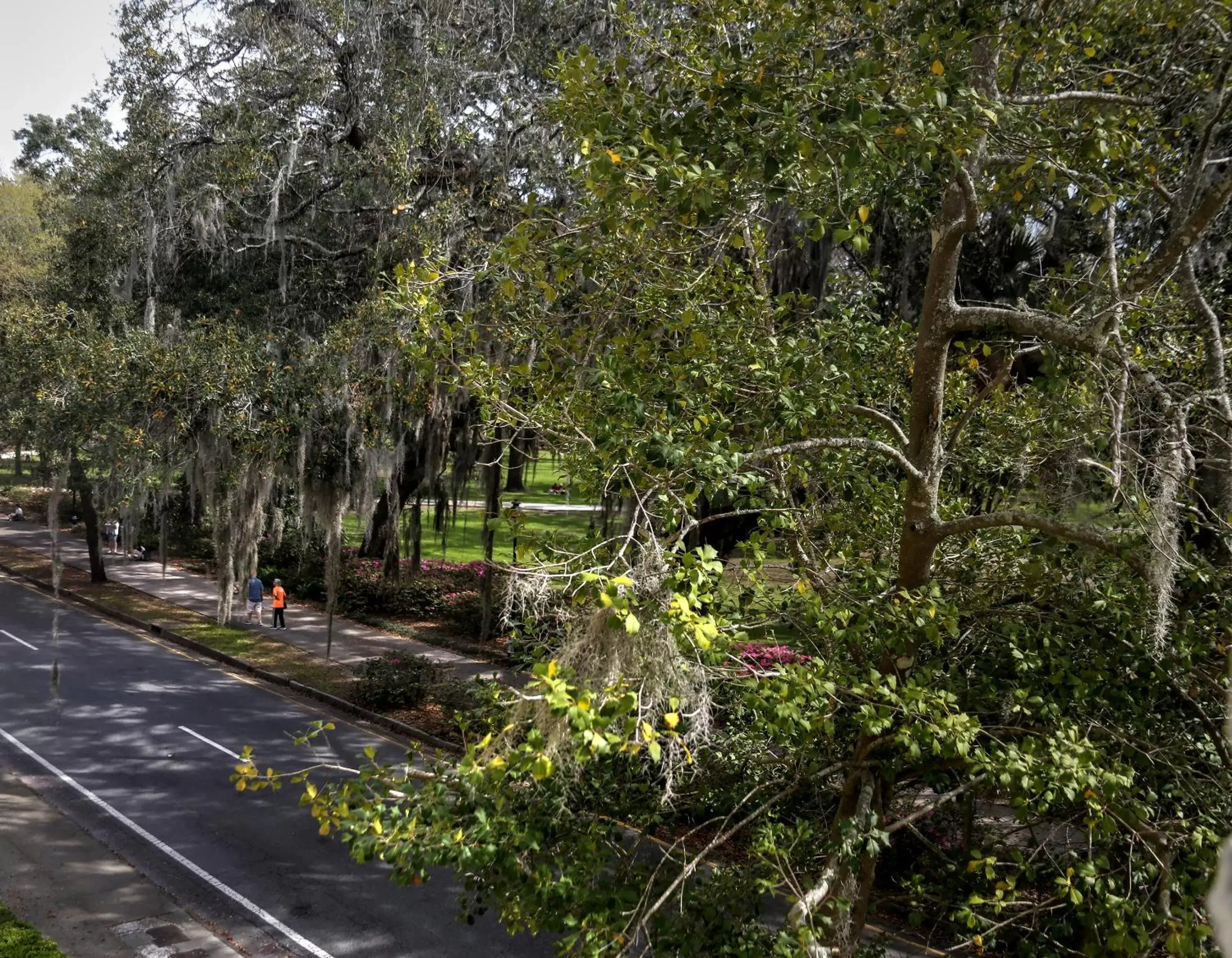 Forsyth Park Inn