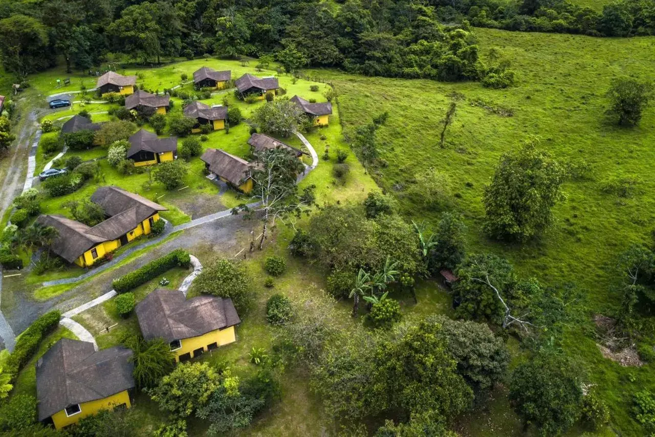 Bird's eye view, Bird's-eye View in Hotel Campo Verde