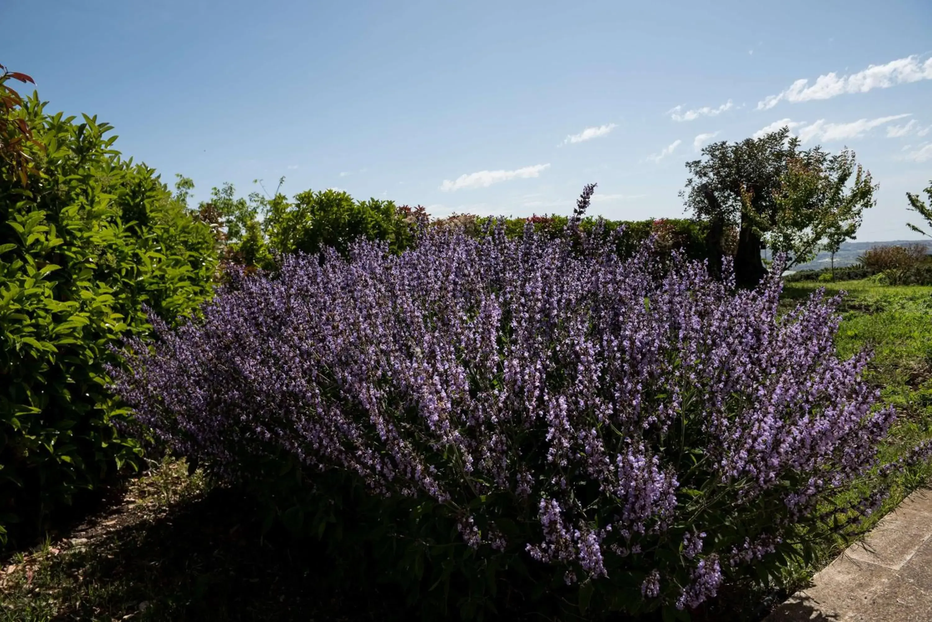 Property building in La Dimora di Spartivento - BW Signature Collection Property building in La Dimora di Spartivento - BW Signature Collection