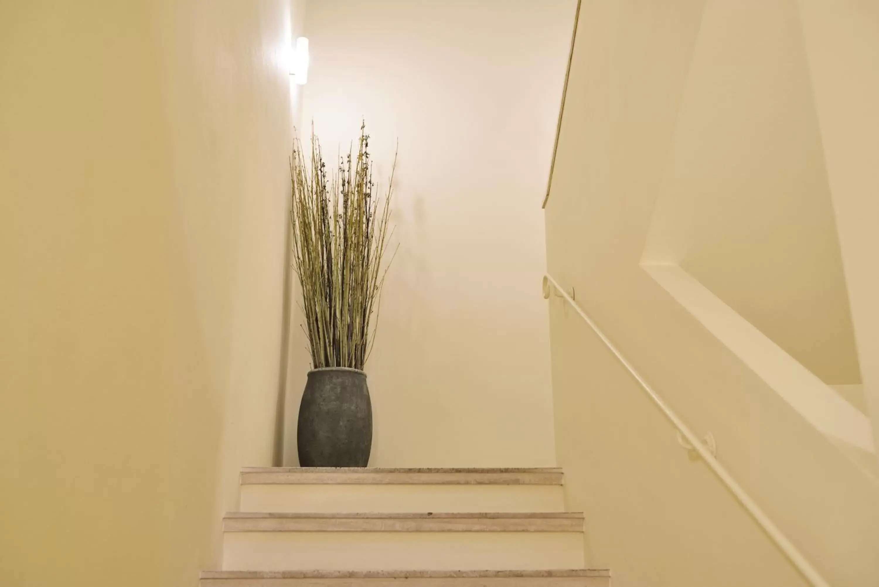 Property building in Residenza Fiorentina Property building in Residenza Fiorentina