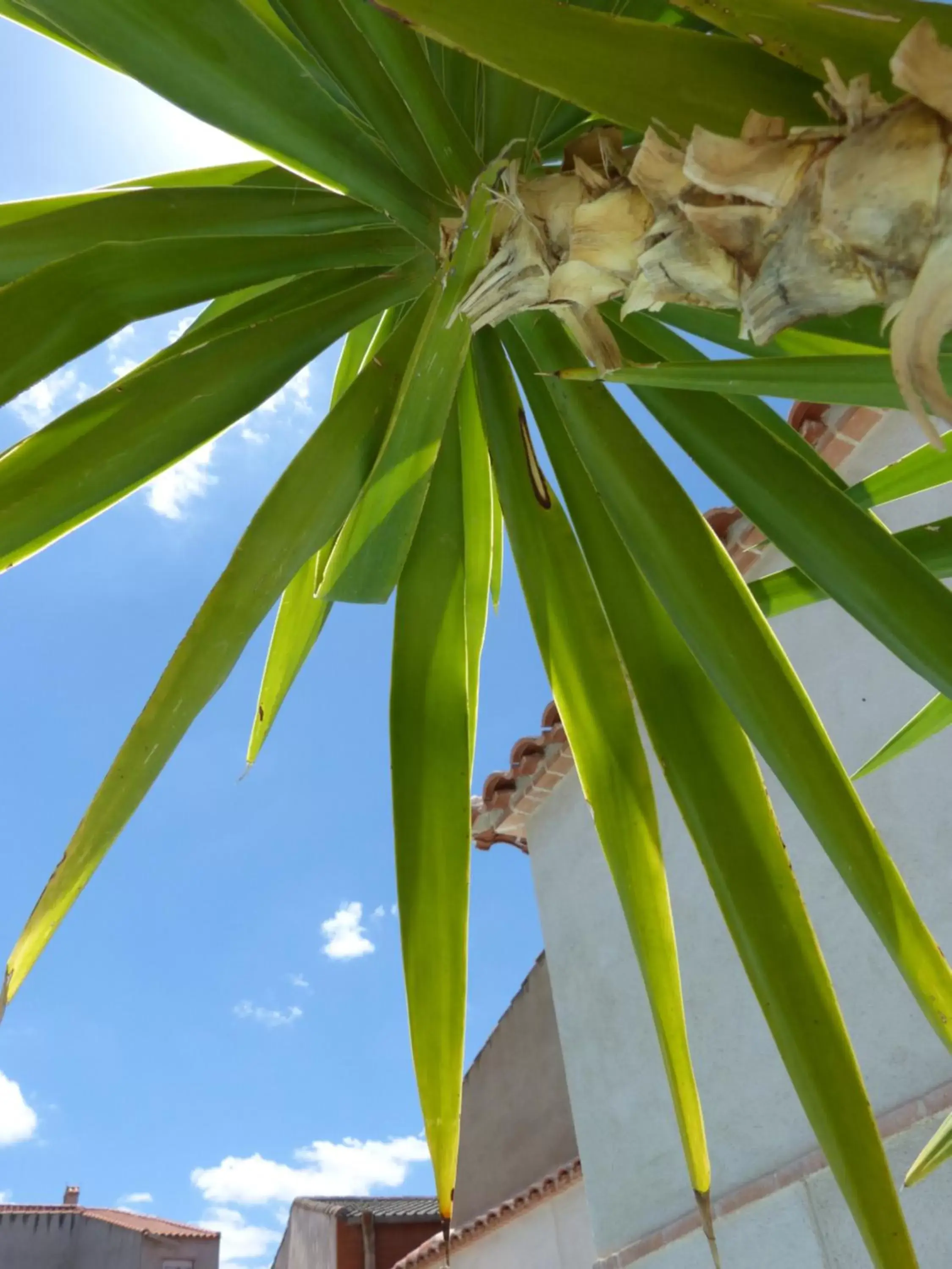 Patio in Hotel Rural Sisapo