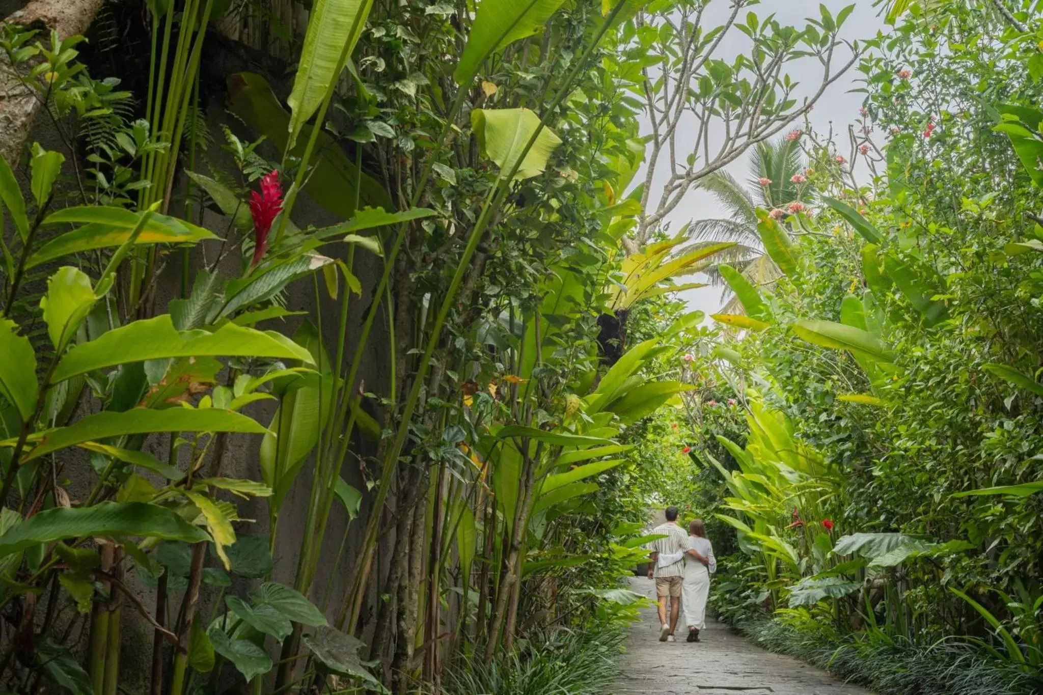 Natural landscape, Garden in Dedary Resort Ubud by Ini Vie Hospitality