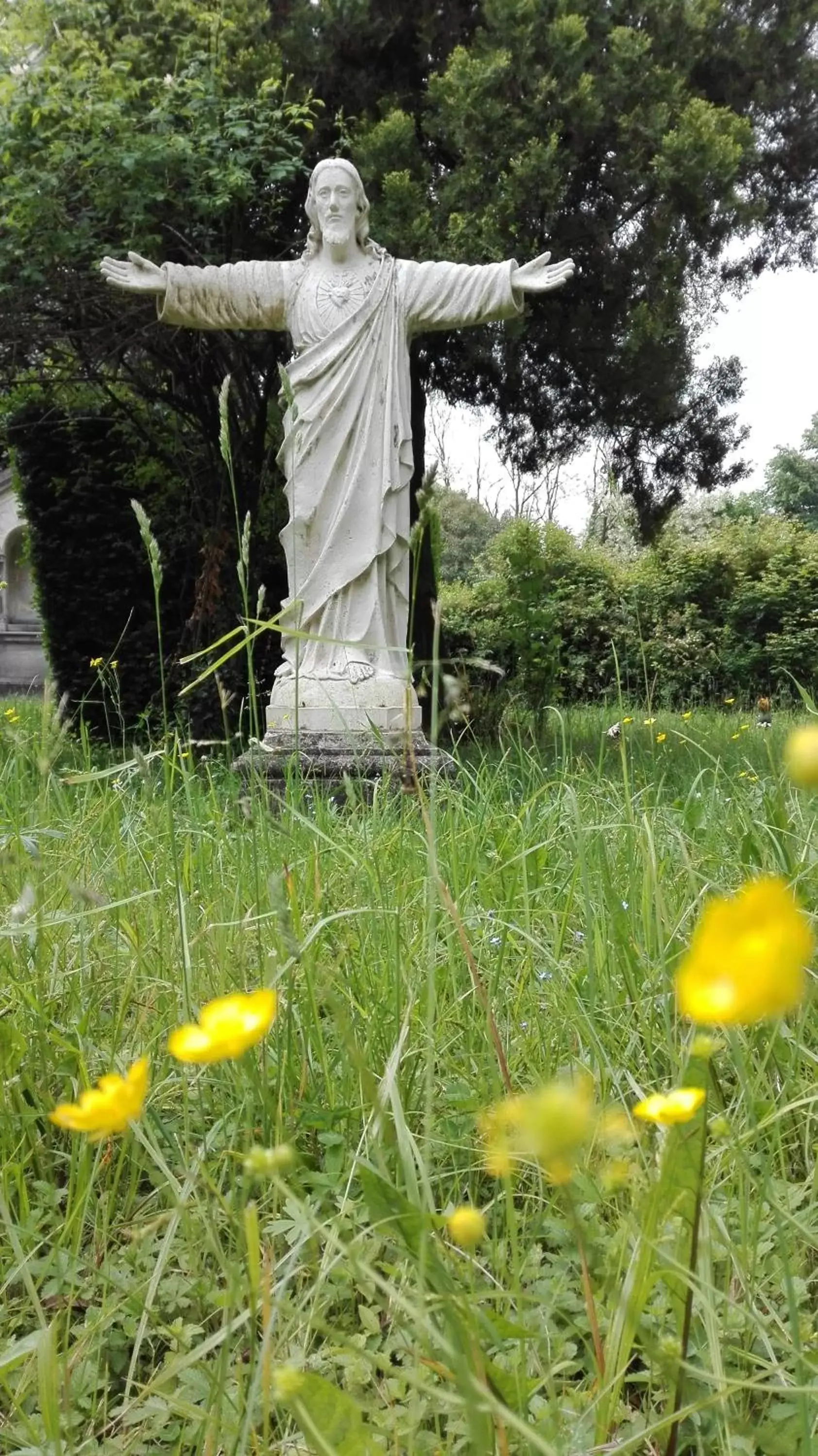 Garden in Villa Scalabrini