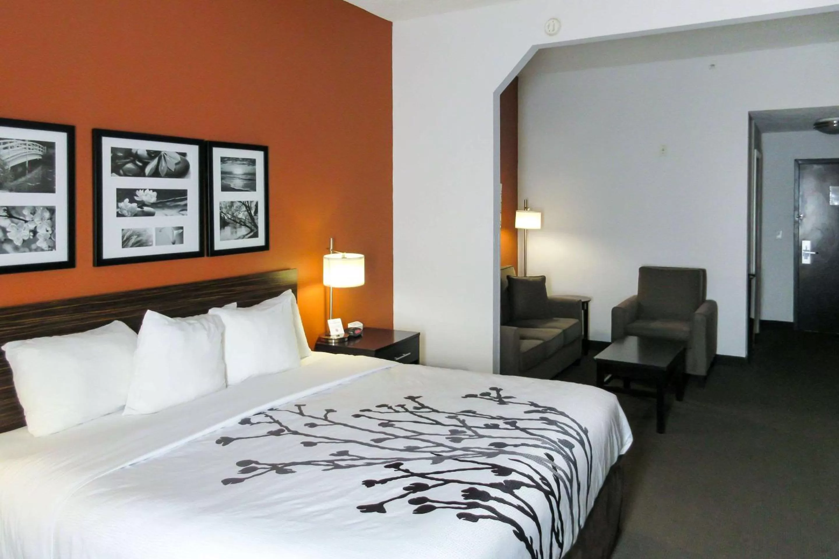 Photo of the whole room, Bed in Sleep Inn & Suites Ft Lauderdale International Airport