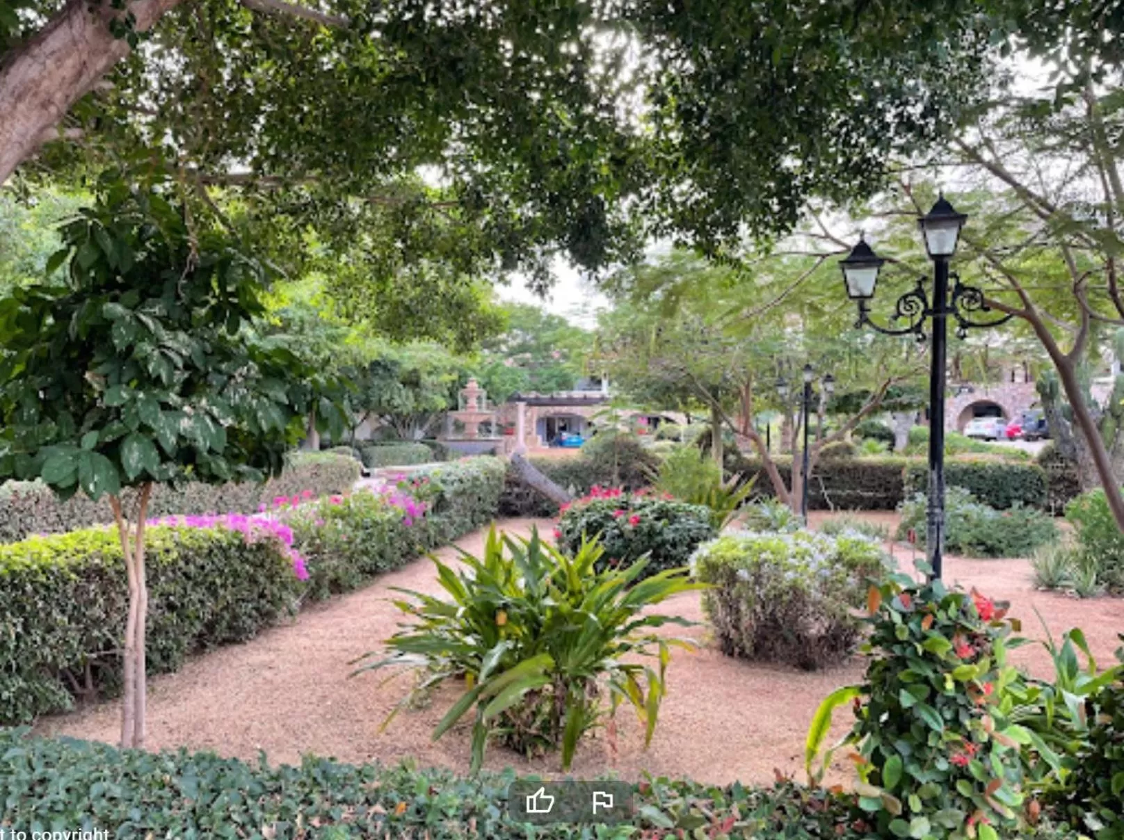 Garden in Pedregal Suites - Marina and Downtown