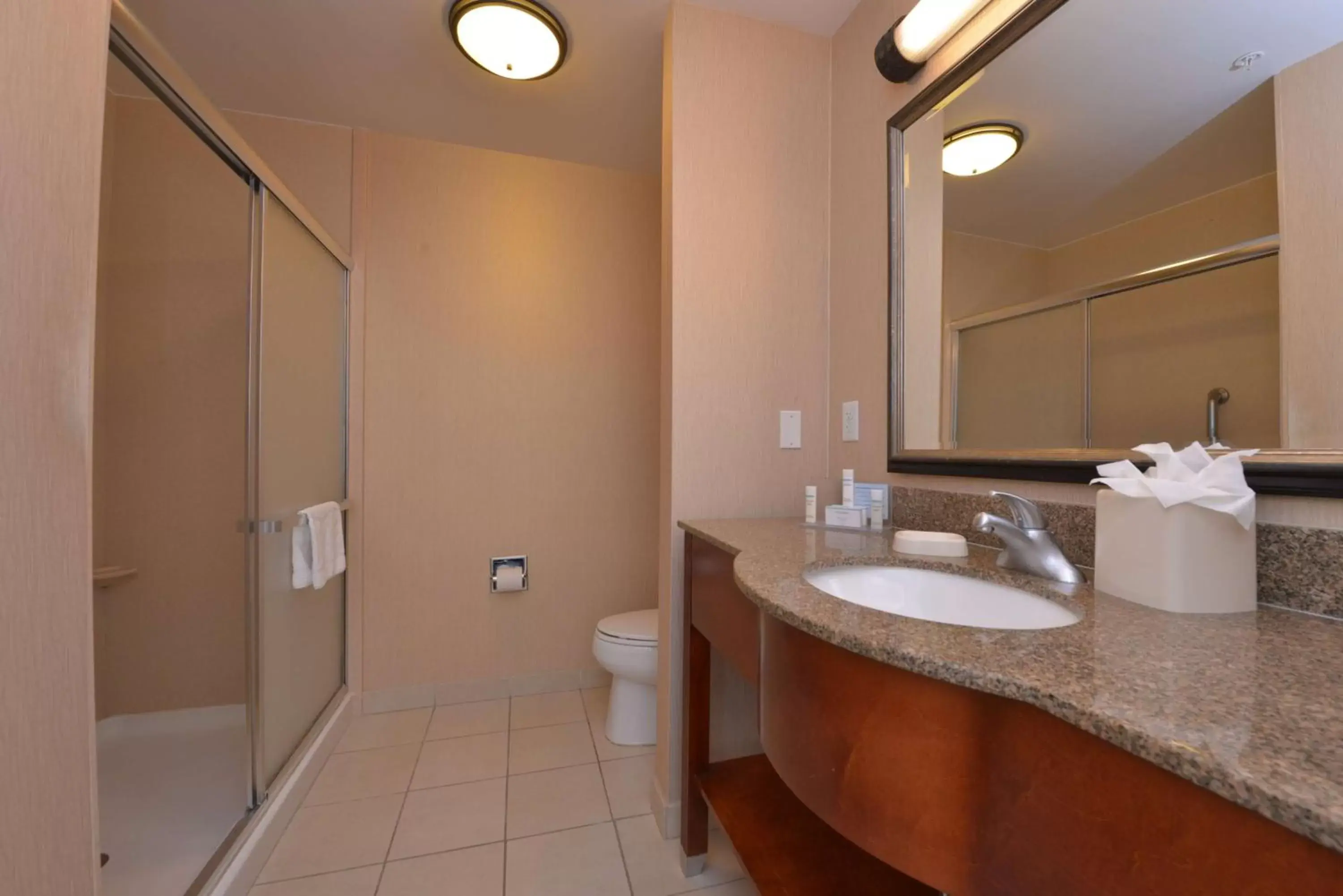 Bathroom in Hampton Inn and Suites Bakersfield North-Airport