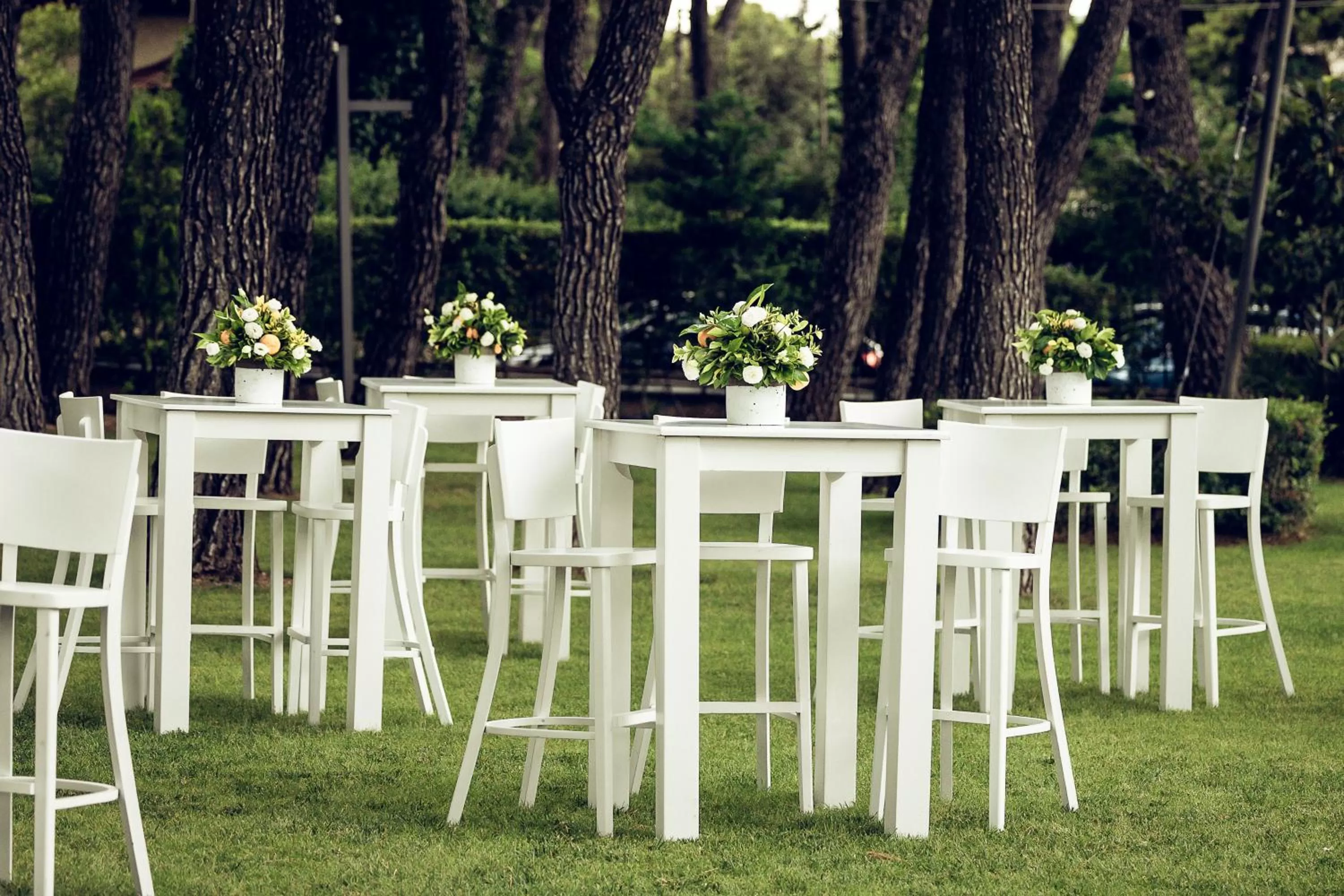 Banquet/Function facilities in Domotel Kastri