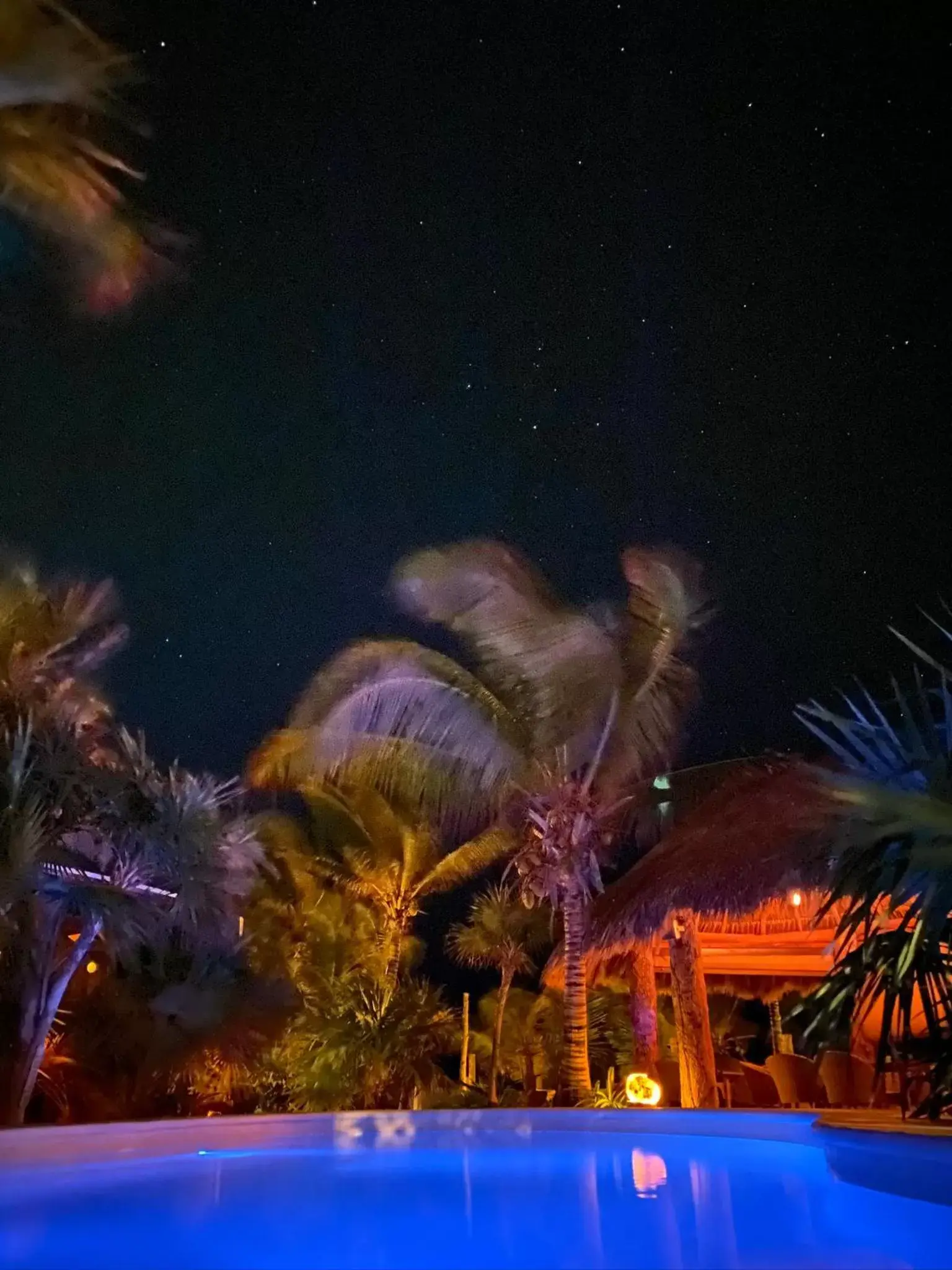 Beach, Swimming Pool in Sueños Tulum