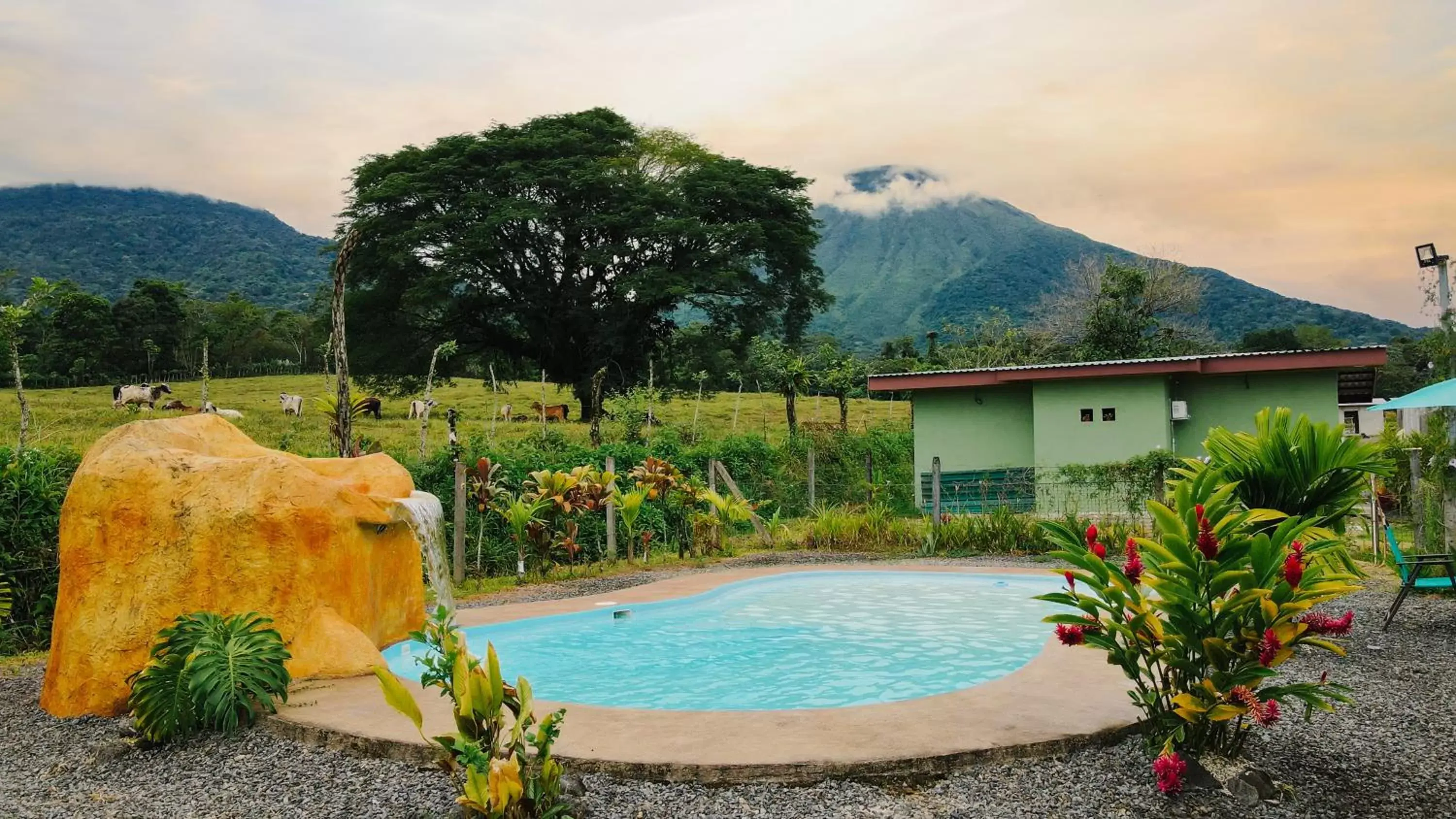 Pool view, Swimming Pool in Chongos Place