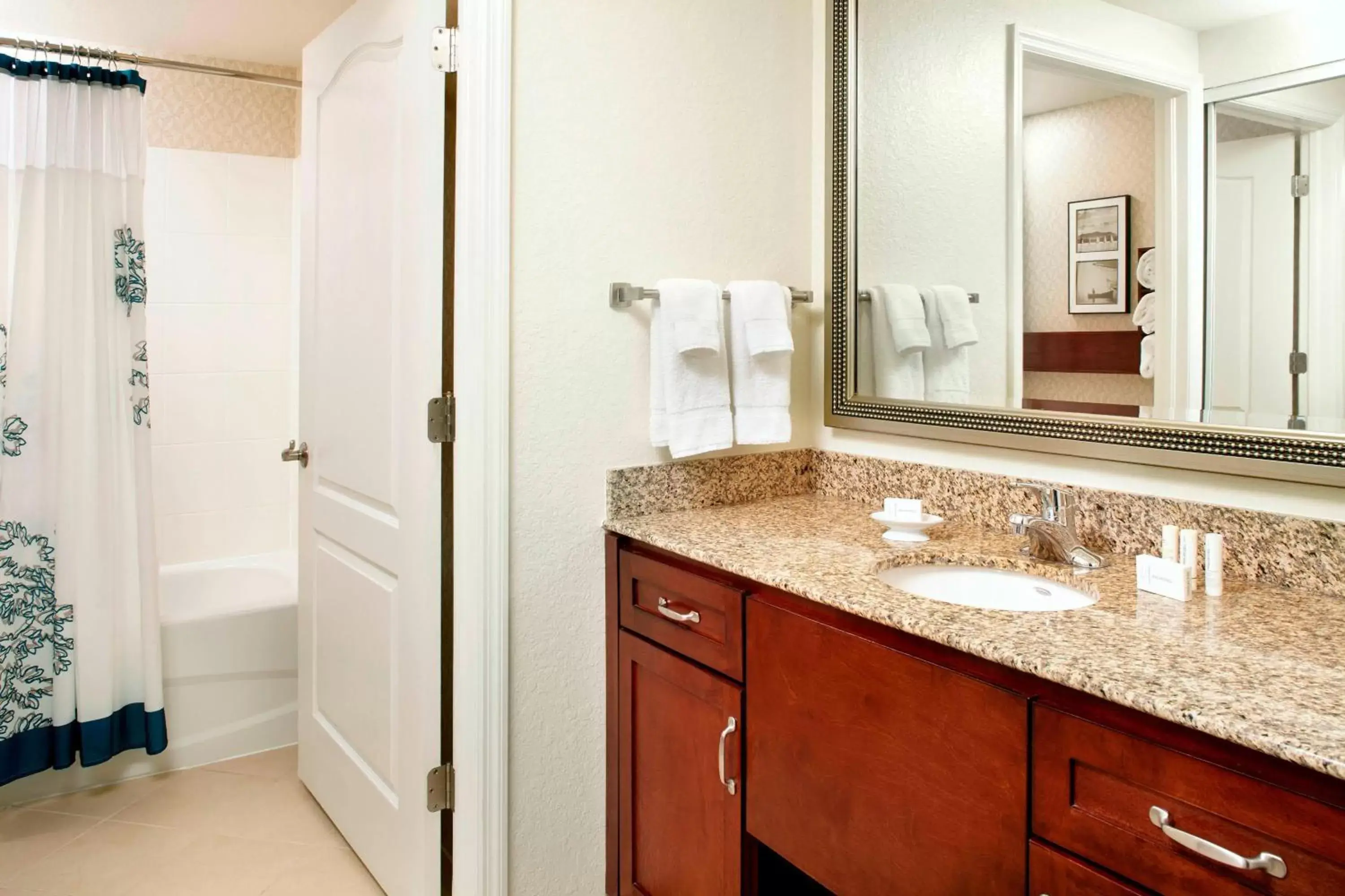 Bathroom in Residence Inn Tampa Suncoast Parkway at NorthPointe Village