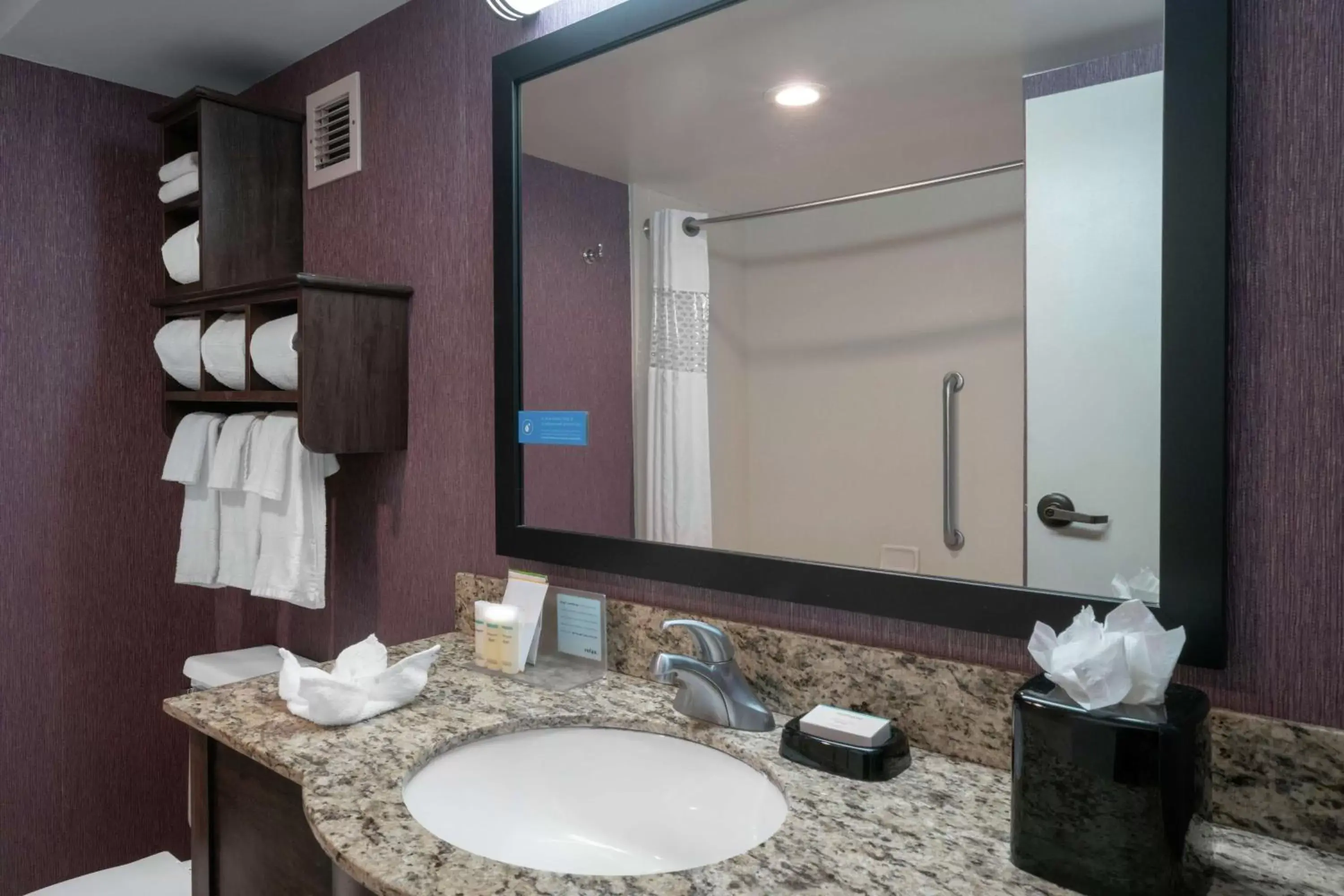 Bathroom in Hampton Inn Hopewell Fort Lee